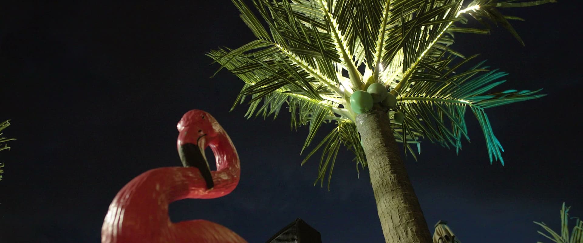 Blind Squirrel - Florence - Image 2