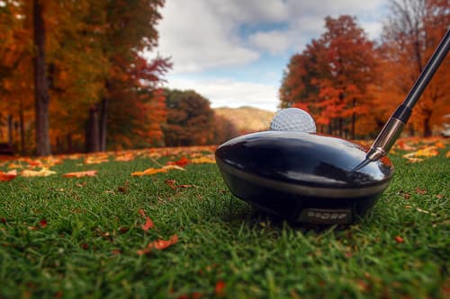 Leslie Park Golf Course - Image 4