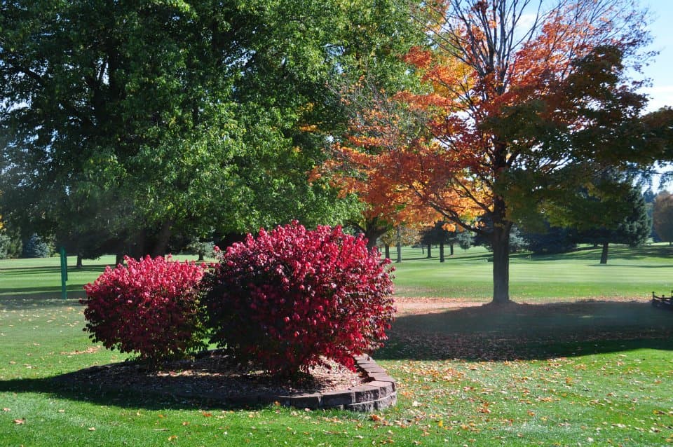 Crestview Golf Club Kalamazoo - Image 7