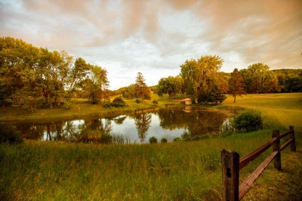 Red Wing Golf Course/Nineteen Bar+Grill/The Skyroom - Image 9