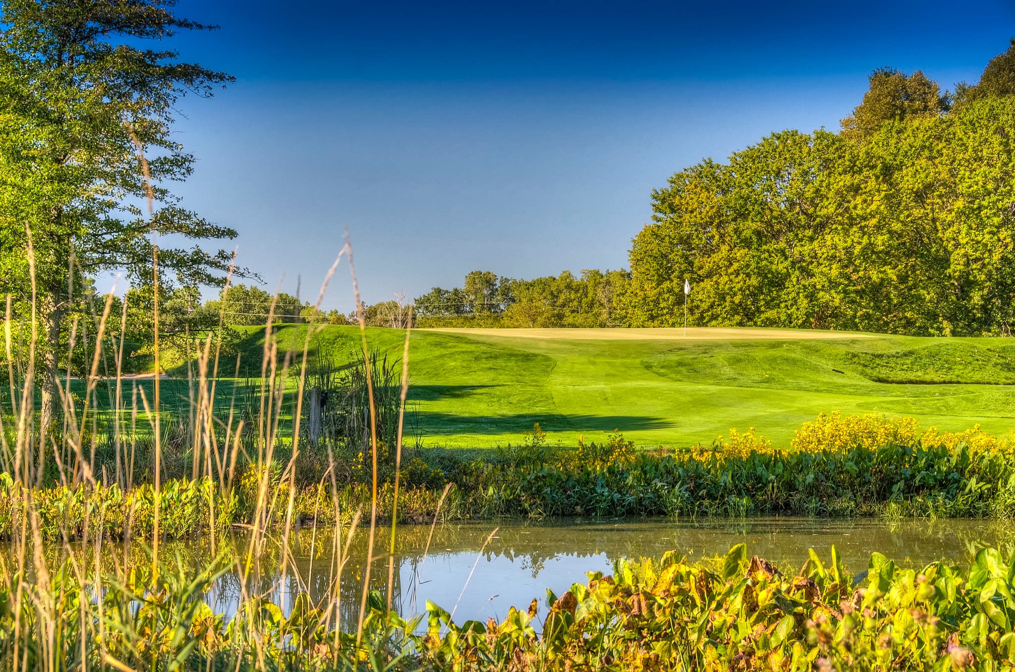 Forest Akers East Golf Course - Image 1