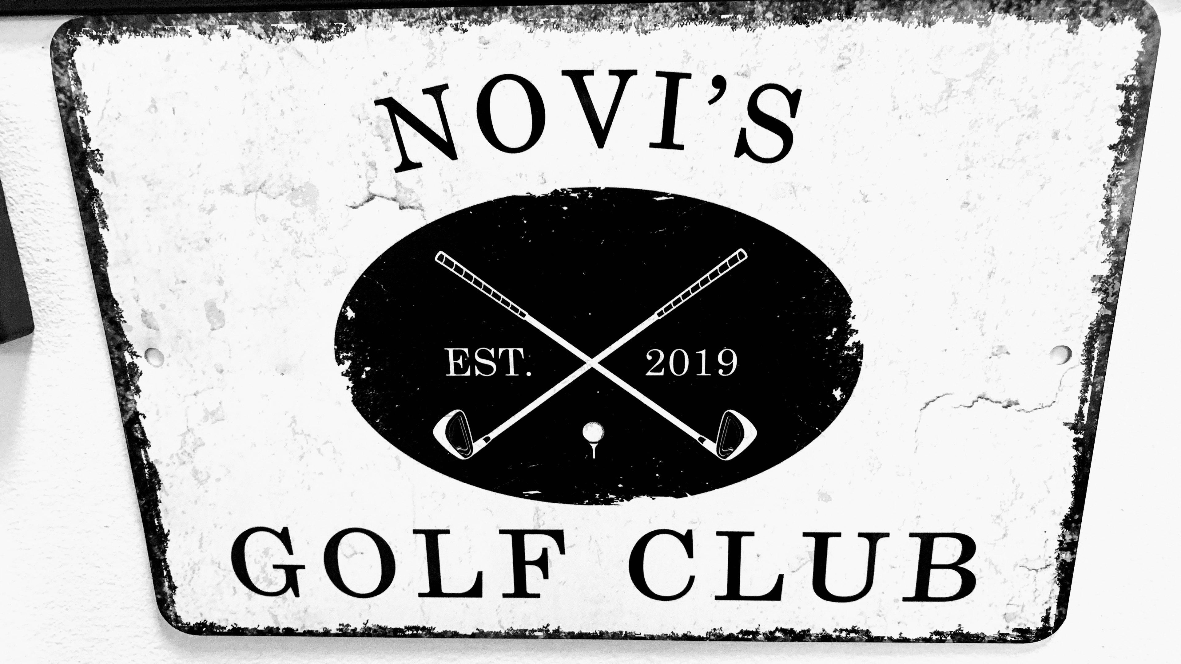 Novi's Golf Simulator - Image 7