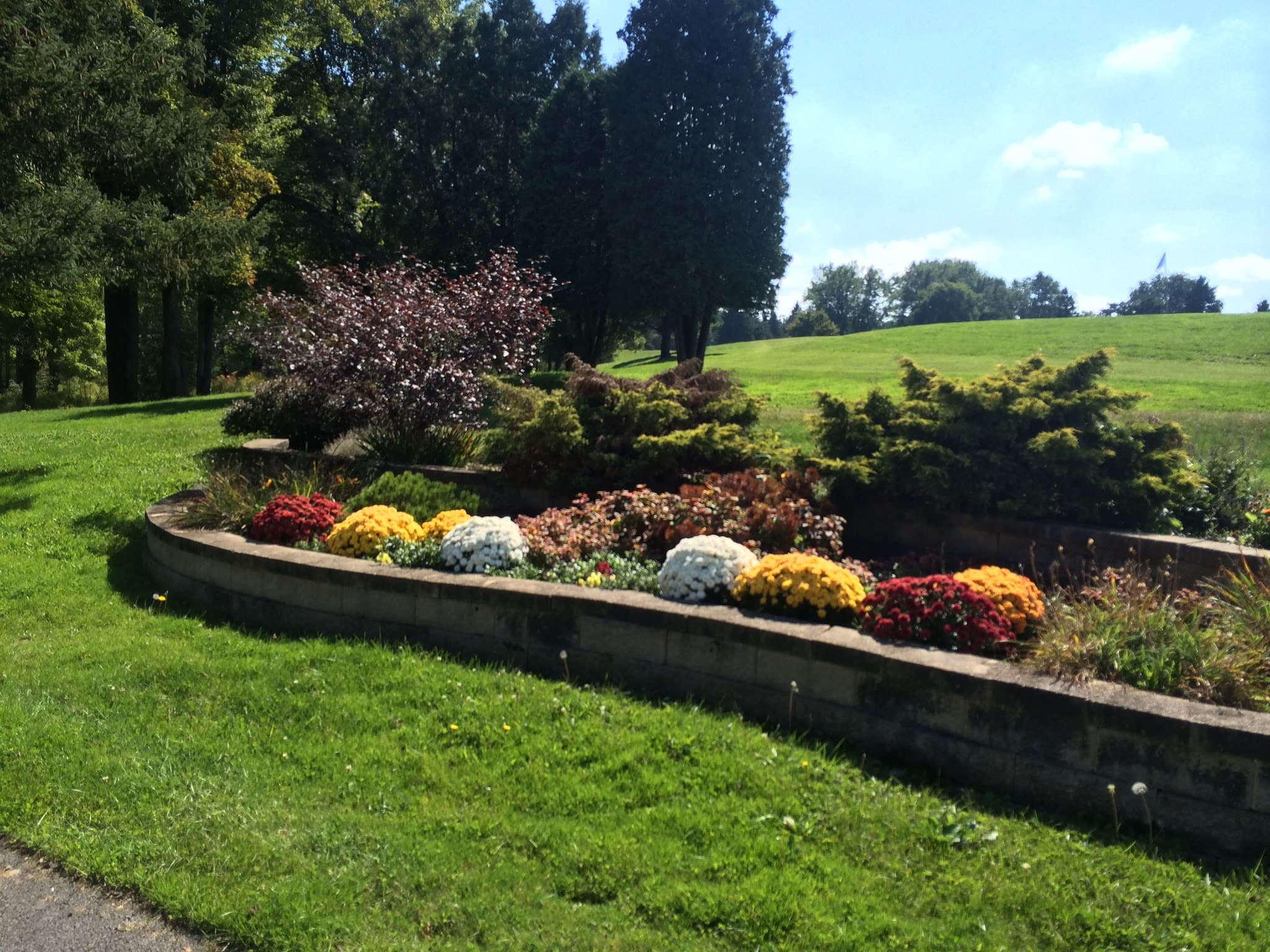 Tanglewood Public Golf Course & Driving Range - Image 7
