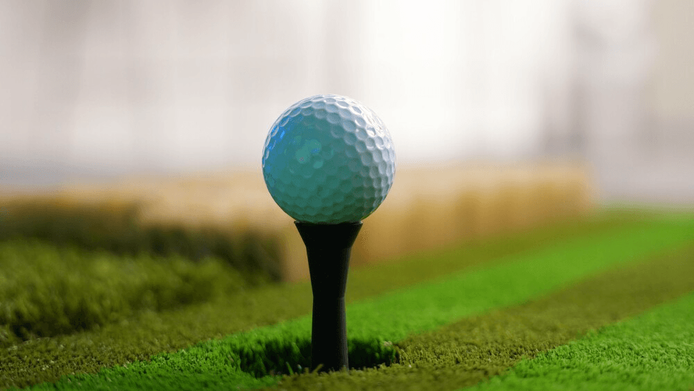 Land Run Links - Image 9