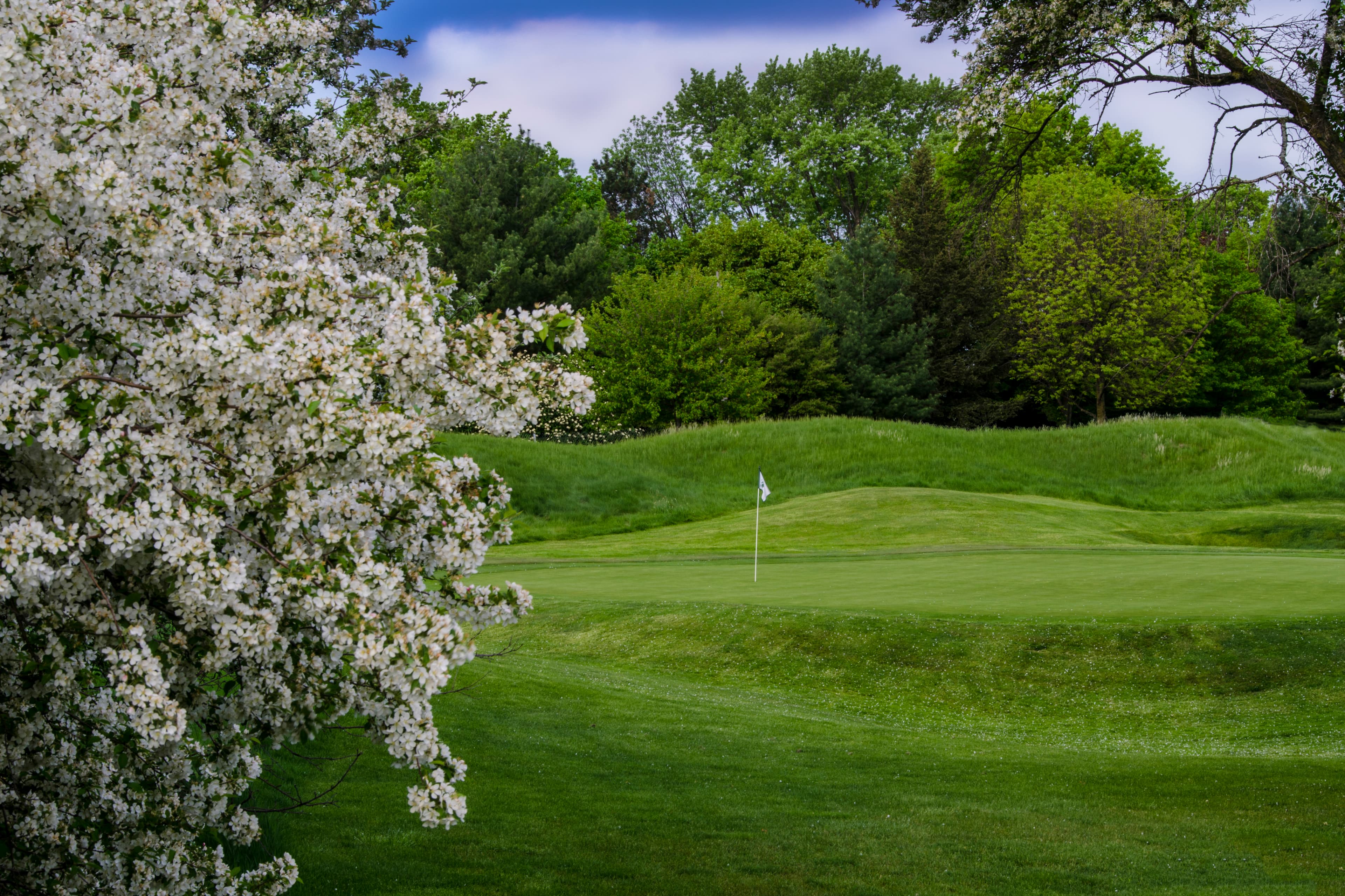 Forest Akers East Golf Course - Image 3