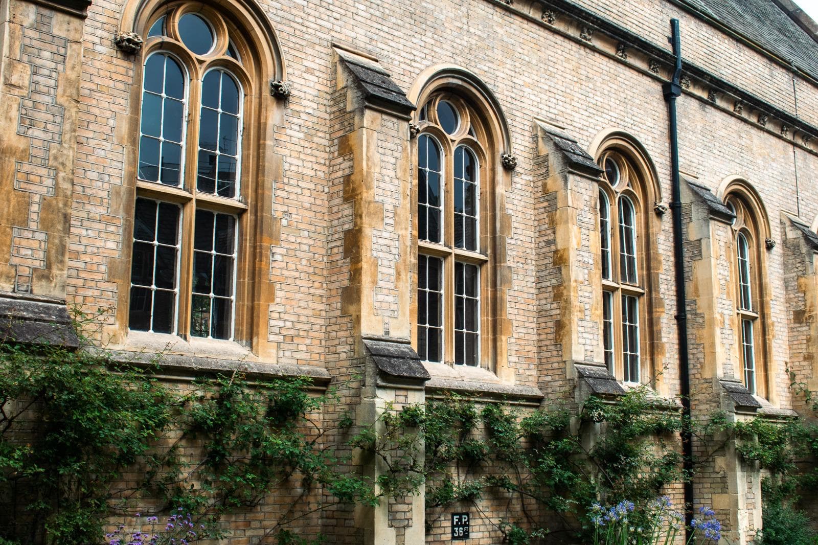 SGC Wandsworth Common - Image 4