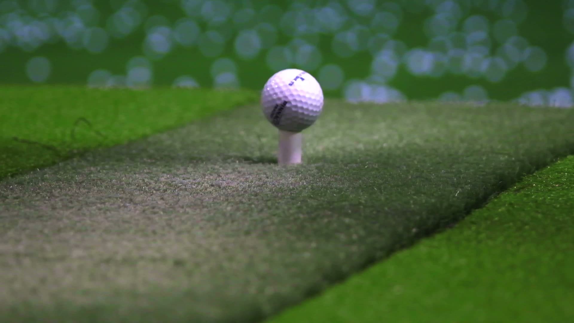 Great Shots - Image 3