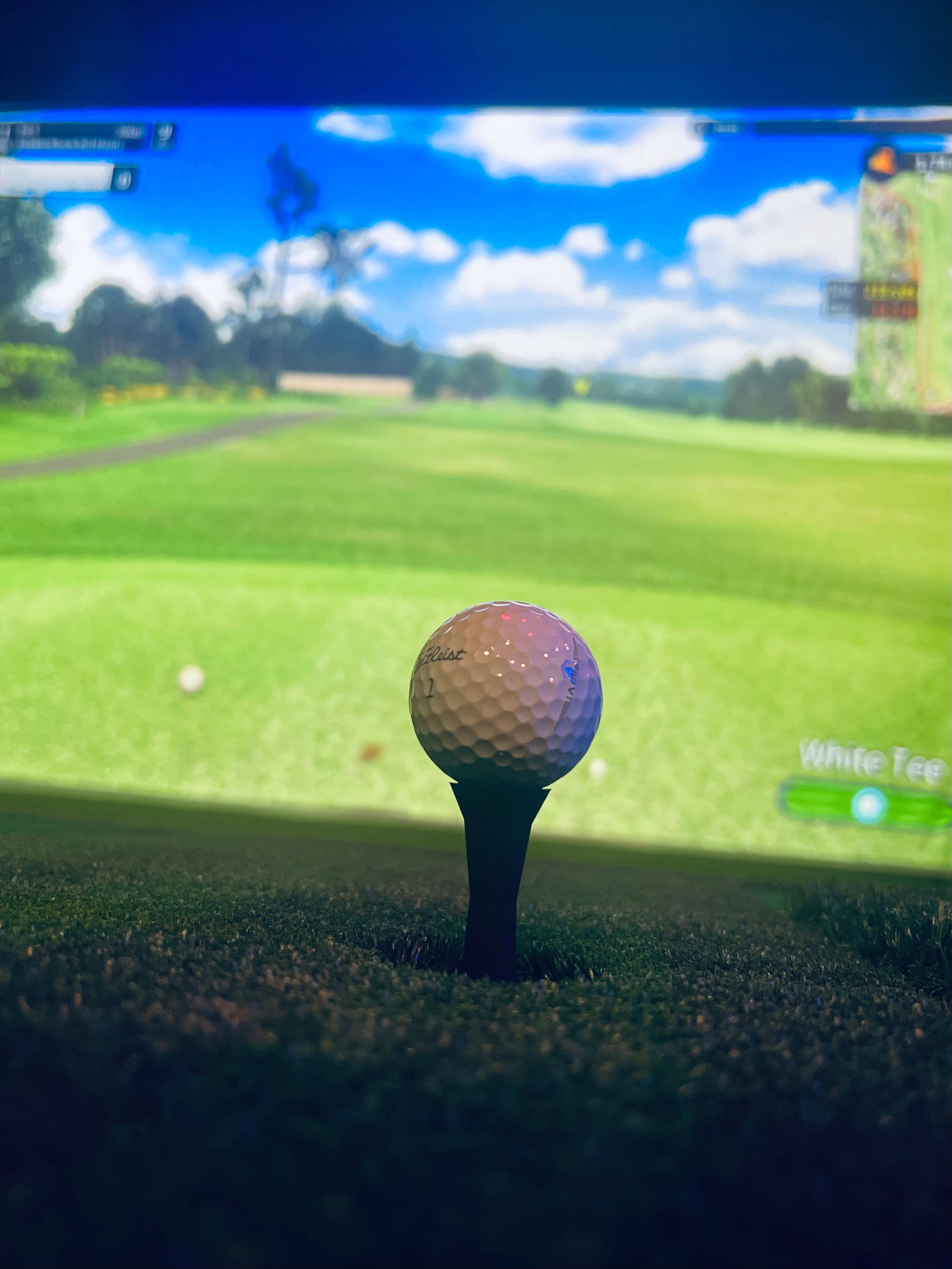 Ada Indoor Country Club - Image 7