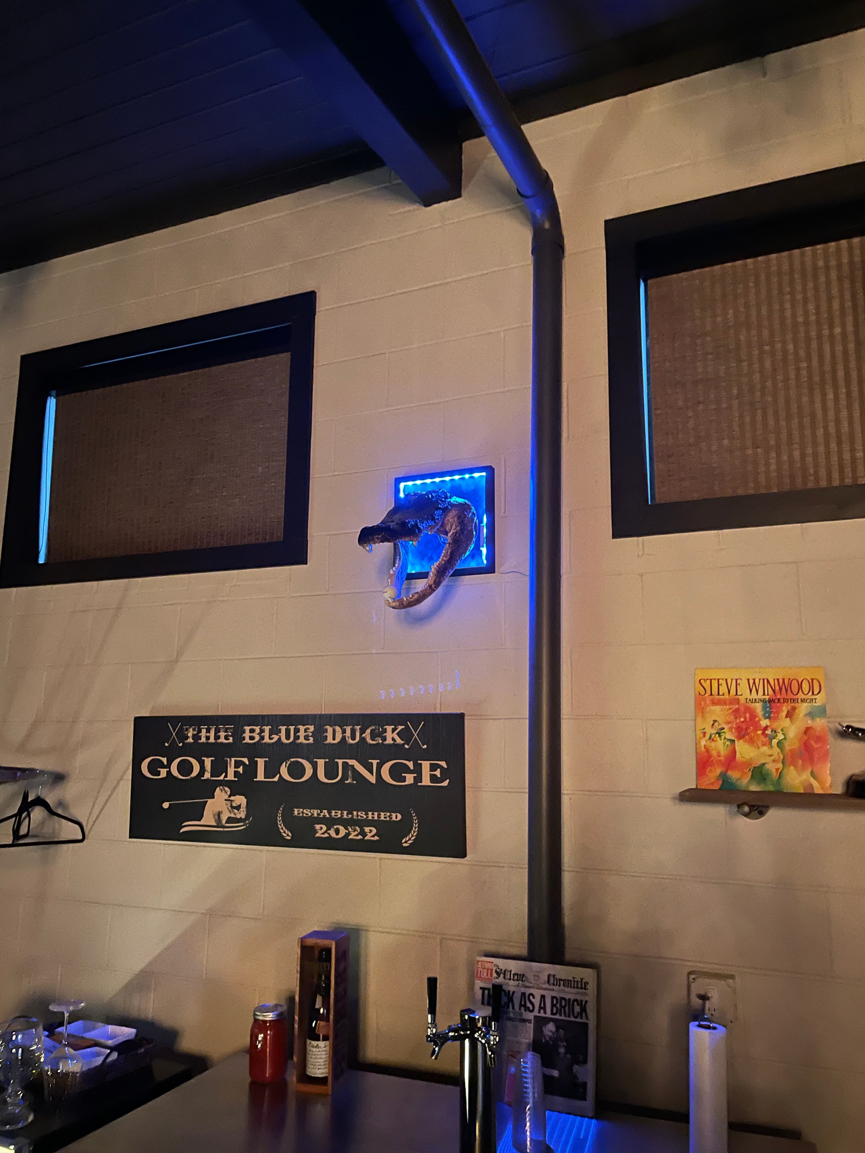 The Blue Duck - Image 6