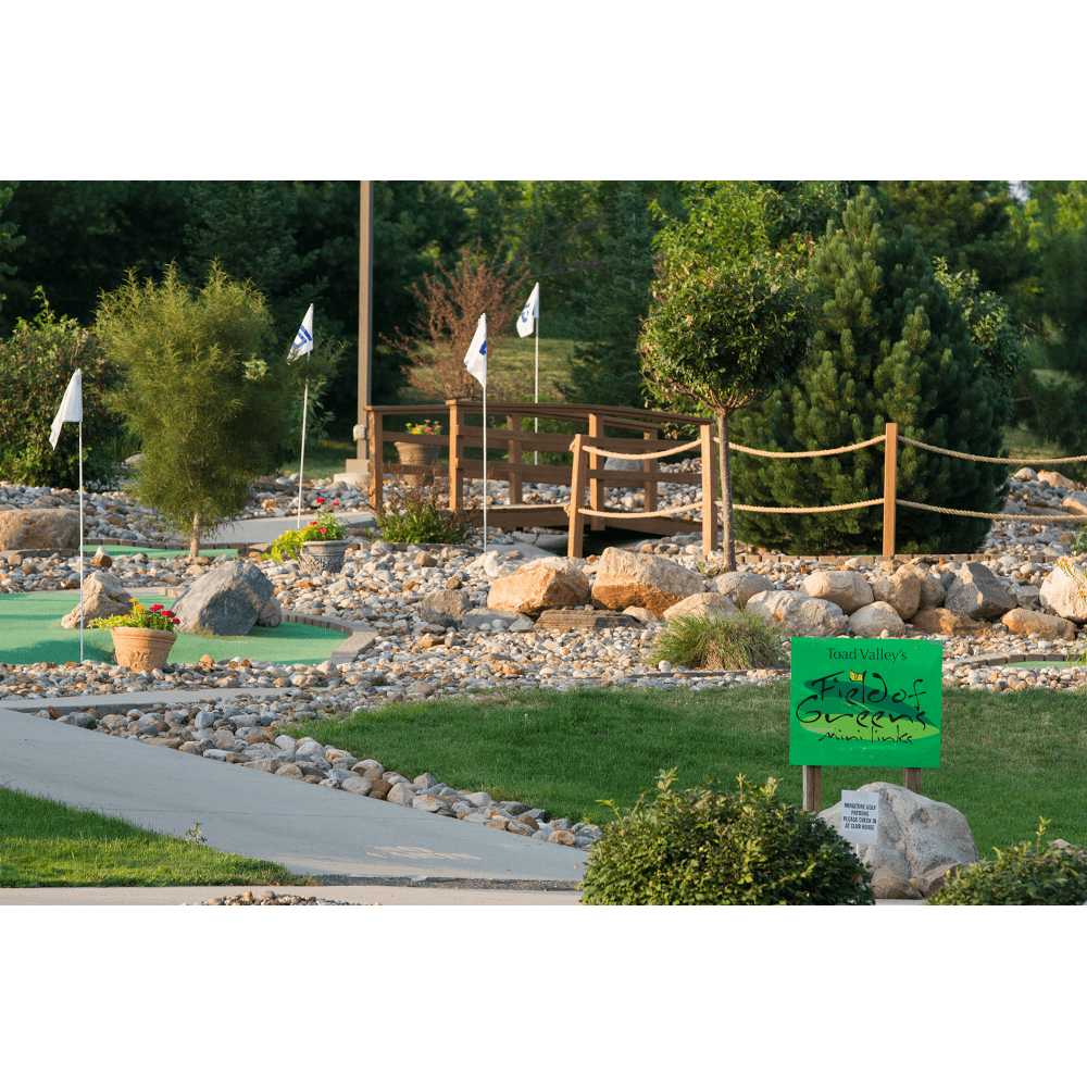 Field of Greens - Image 6