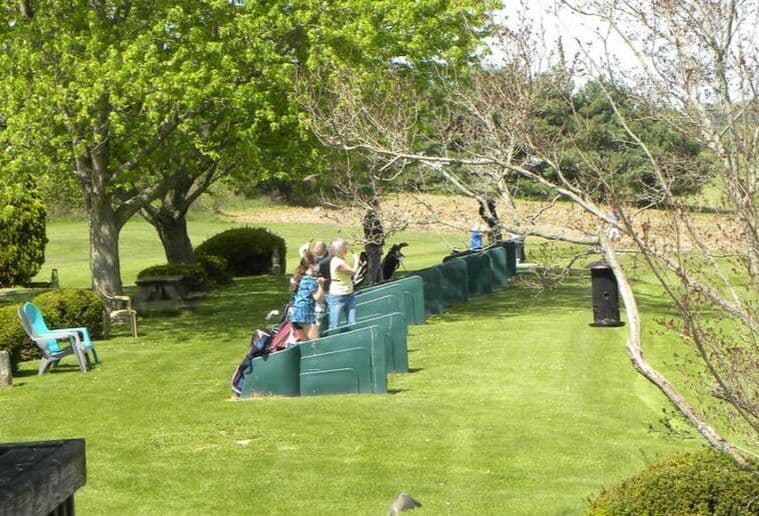 Perfect Swing - Image 3