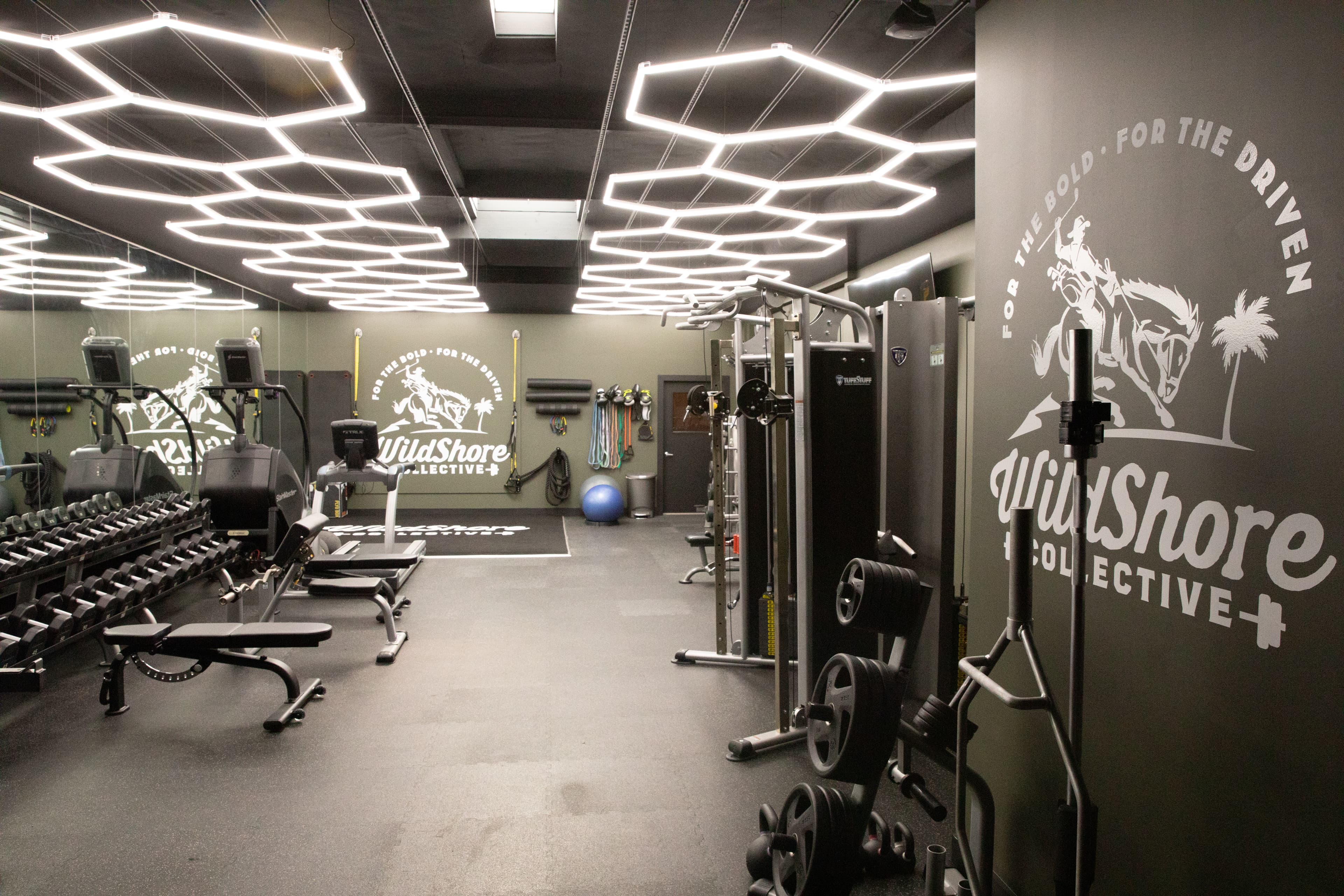 WildShore Collective - Image 4