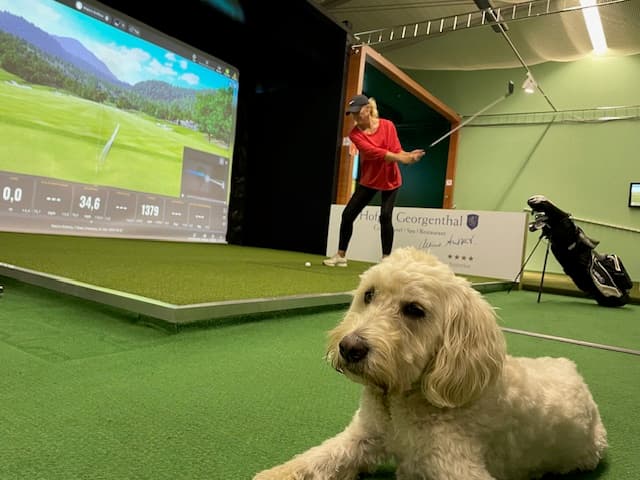 Majors Golfbox - Image 4