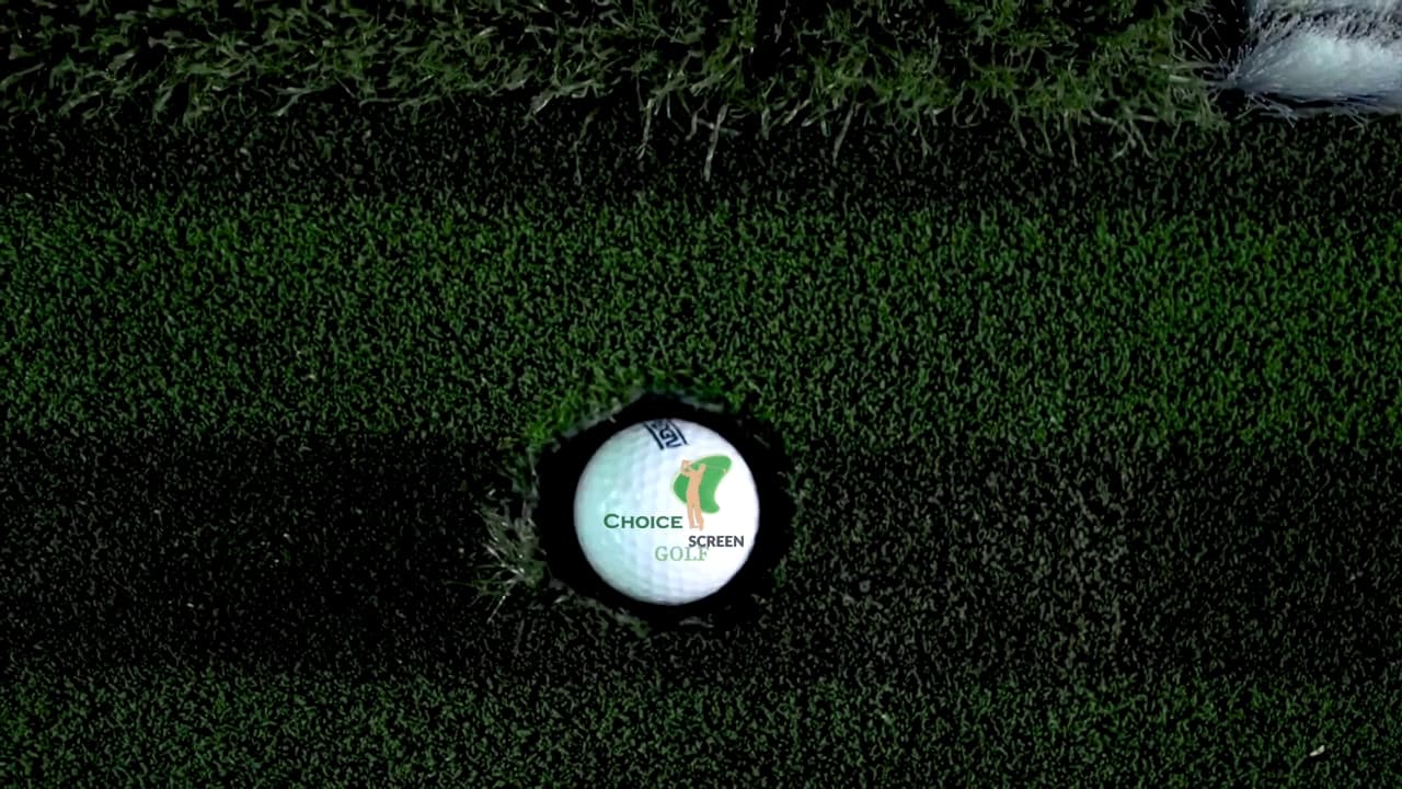 Choice Screen Golf - Image 3
