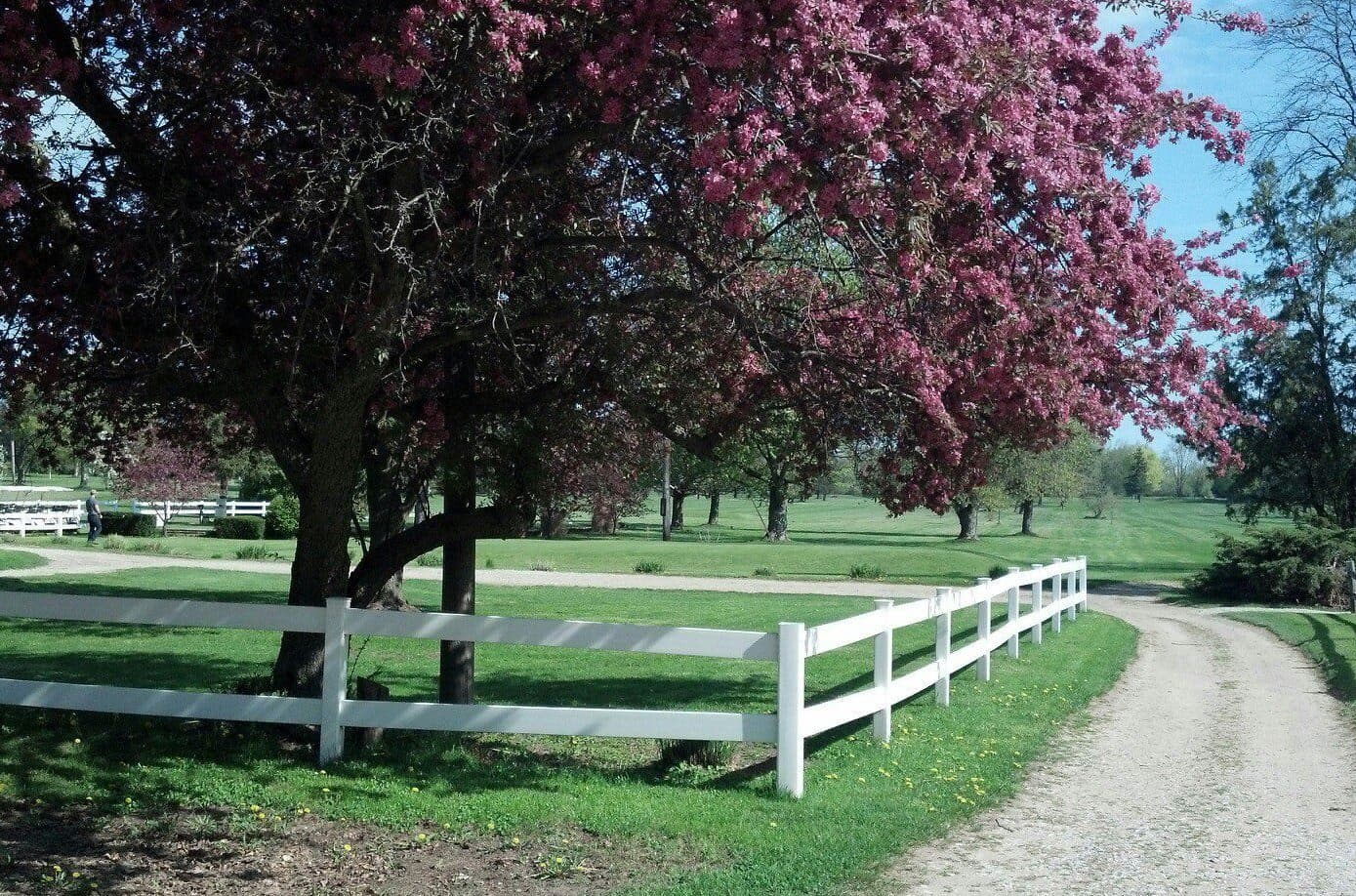 Blossom Trails Golf Club, Inc. - Image 8