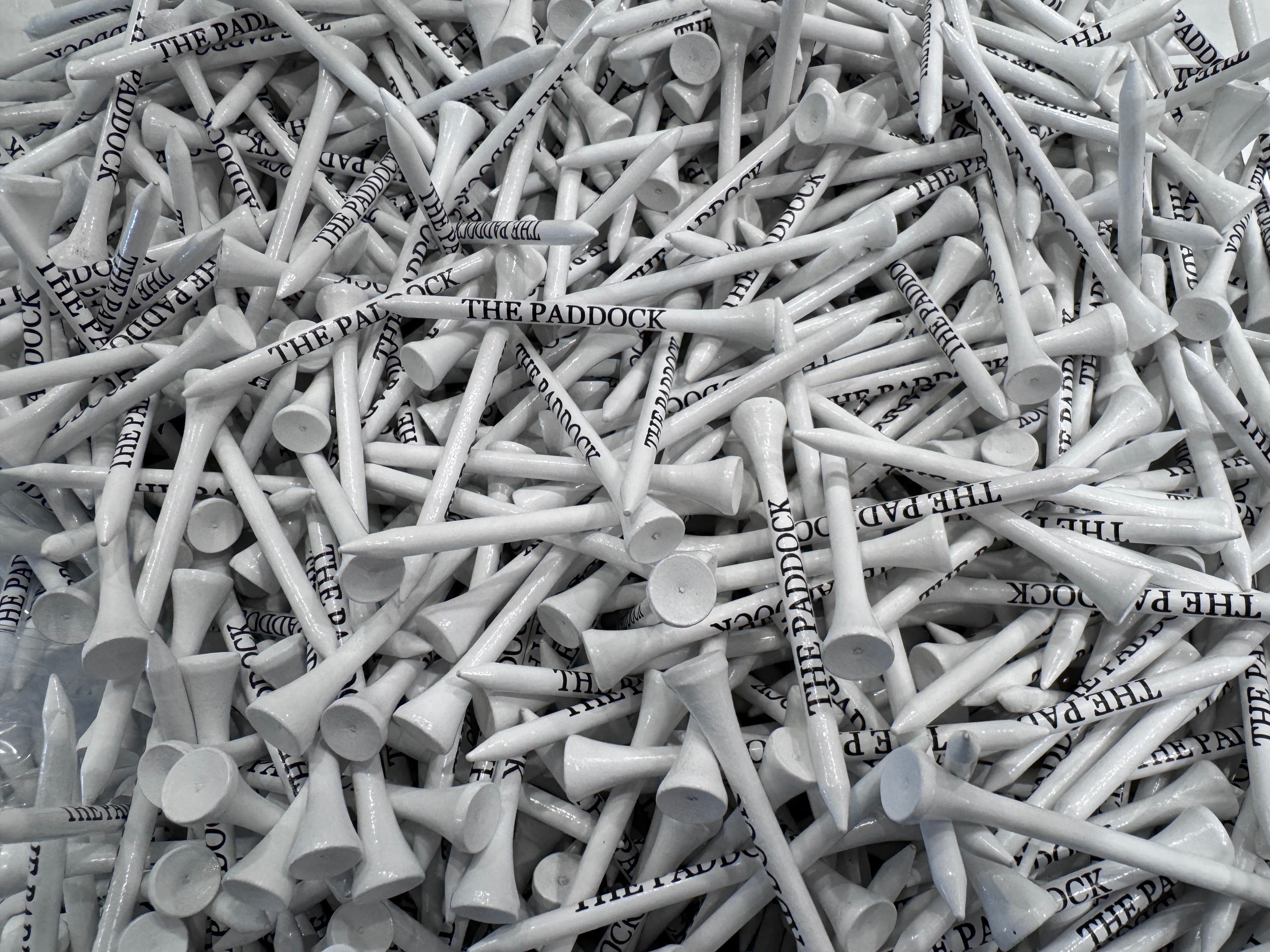 Paddock Golf - Image 2