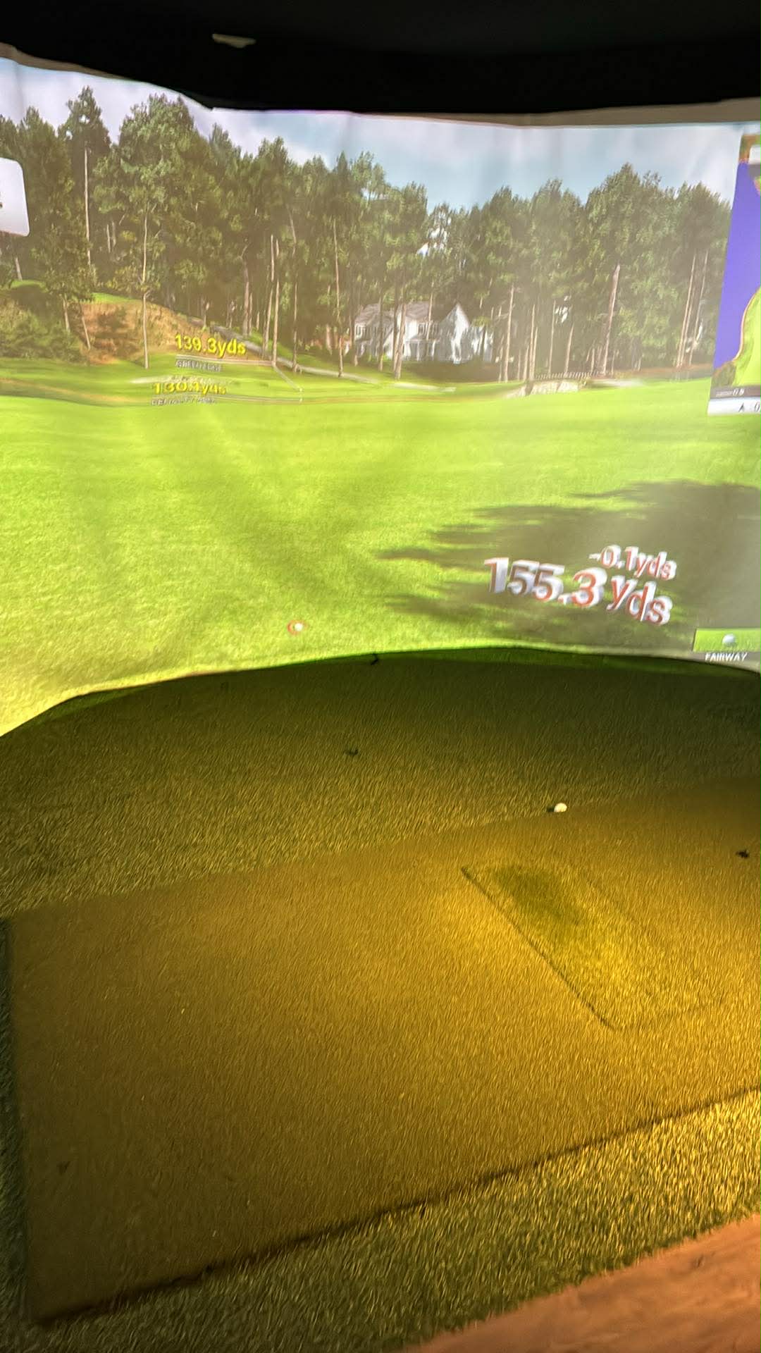 2 Birdies Golf Club - Image 3