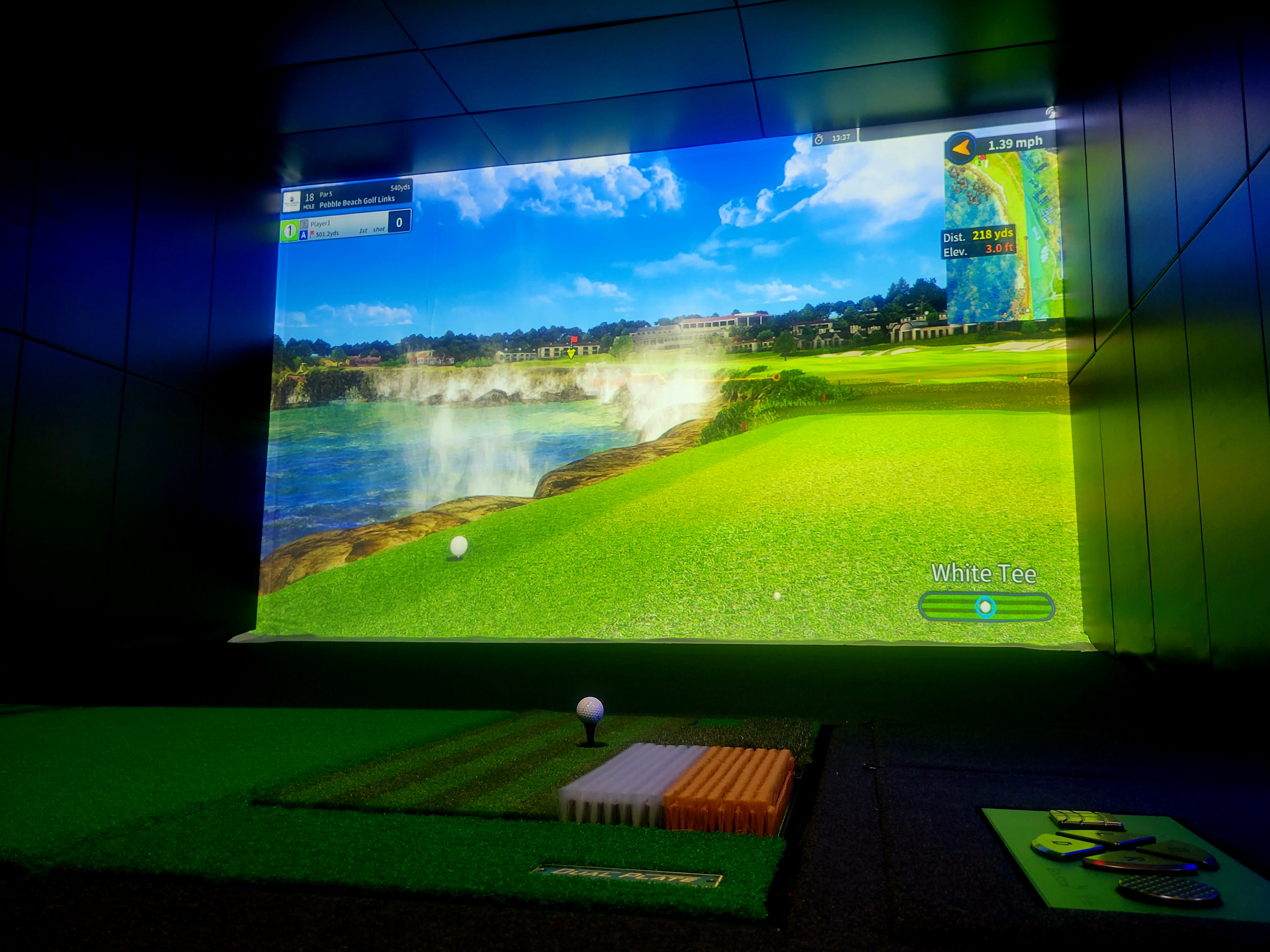 McDuffers Virtual Golf - Image 1
