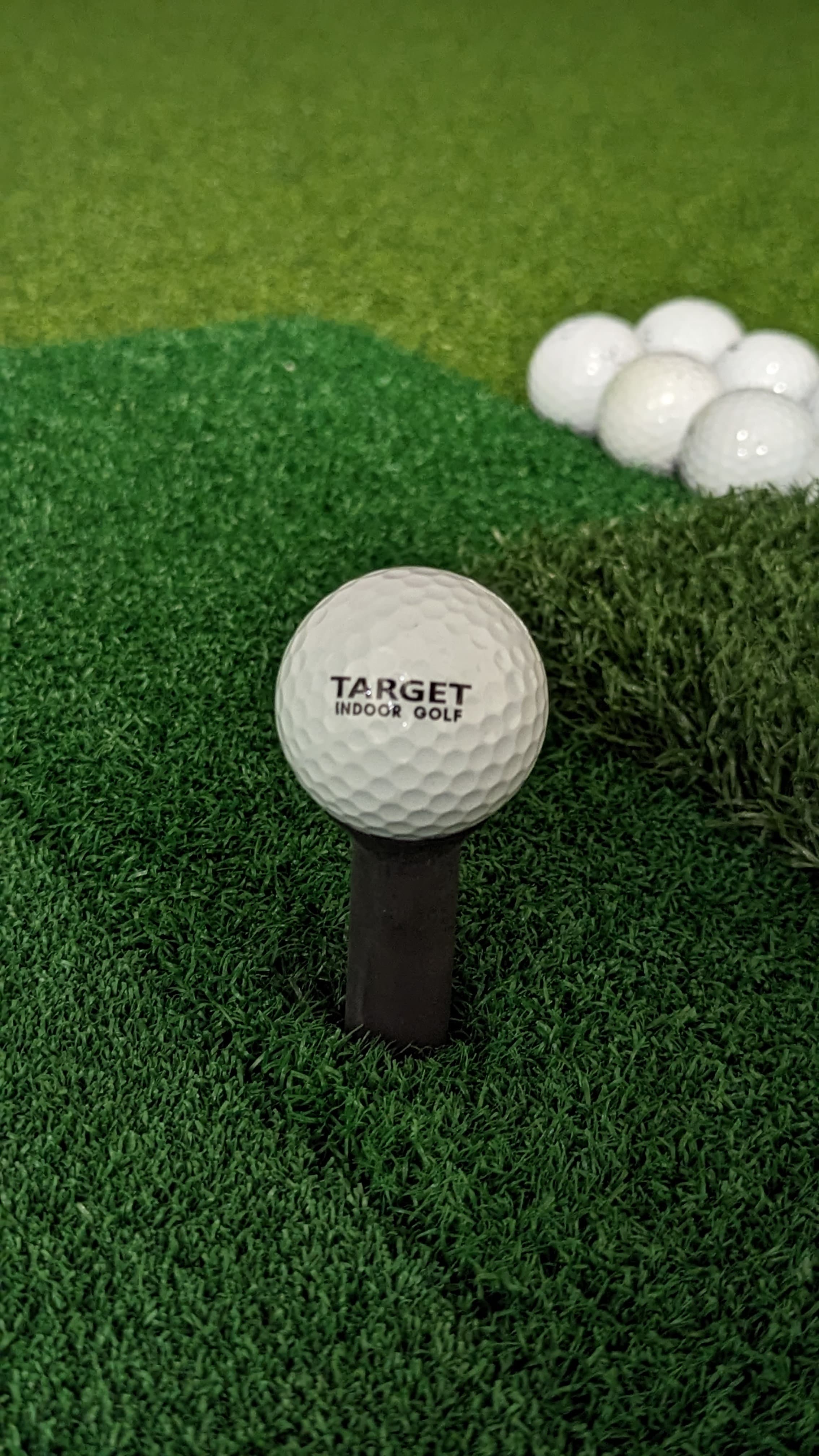 TARGET Indoor Golf - Image 5