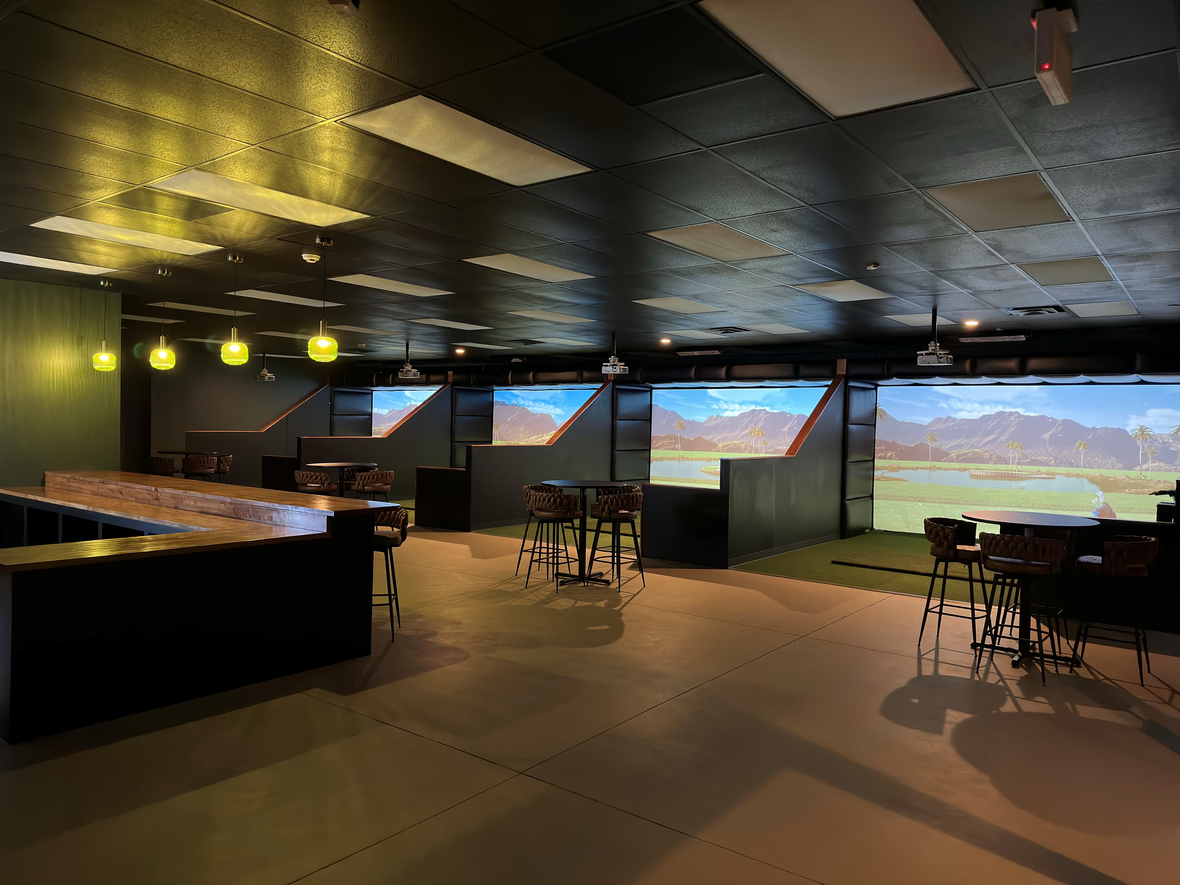 The Swing Easy - Image 4