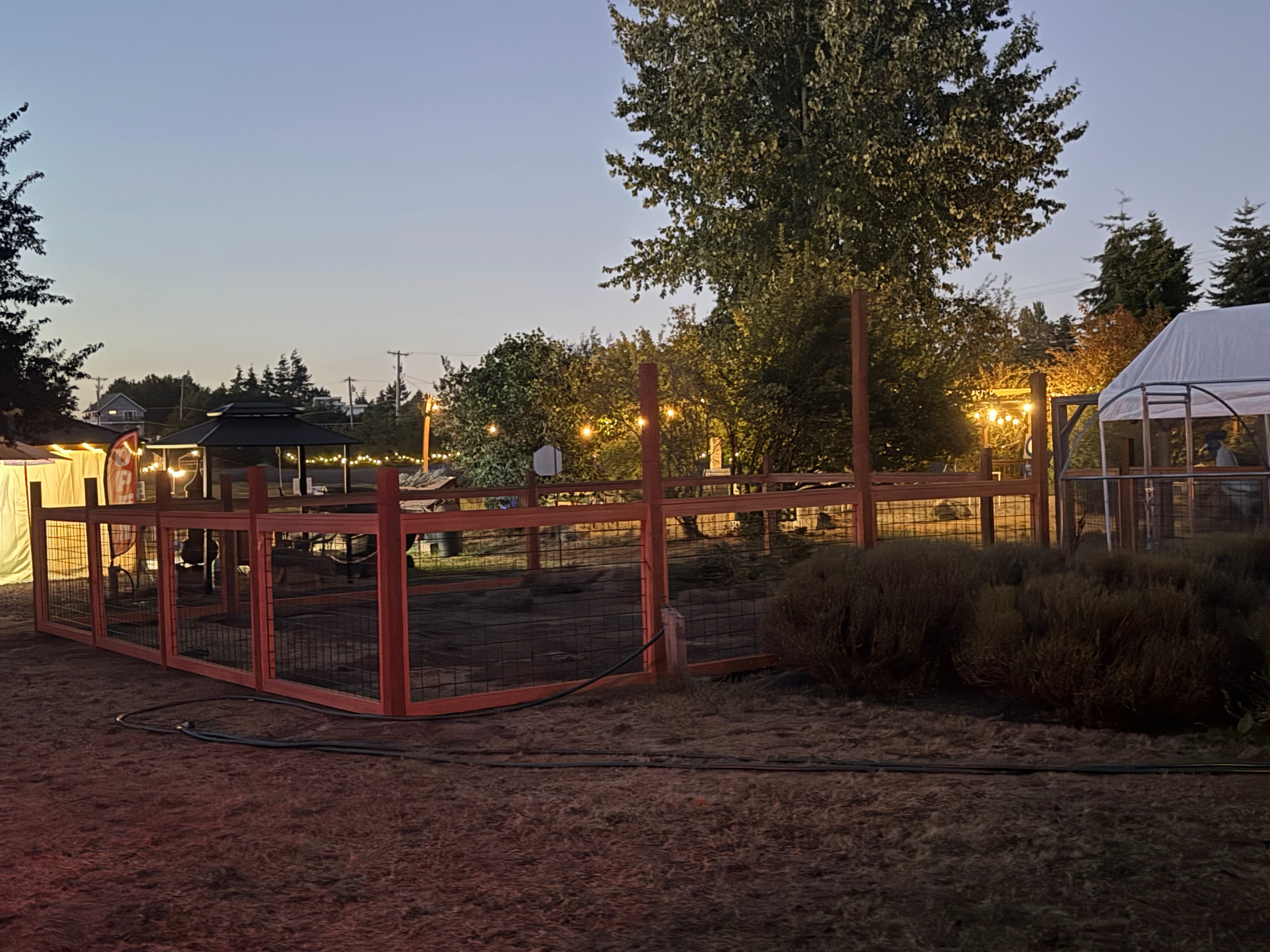 Lit Lavender - Image 9