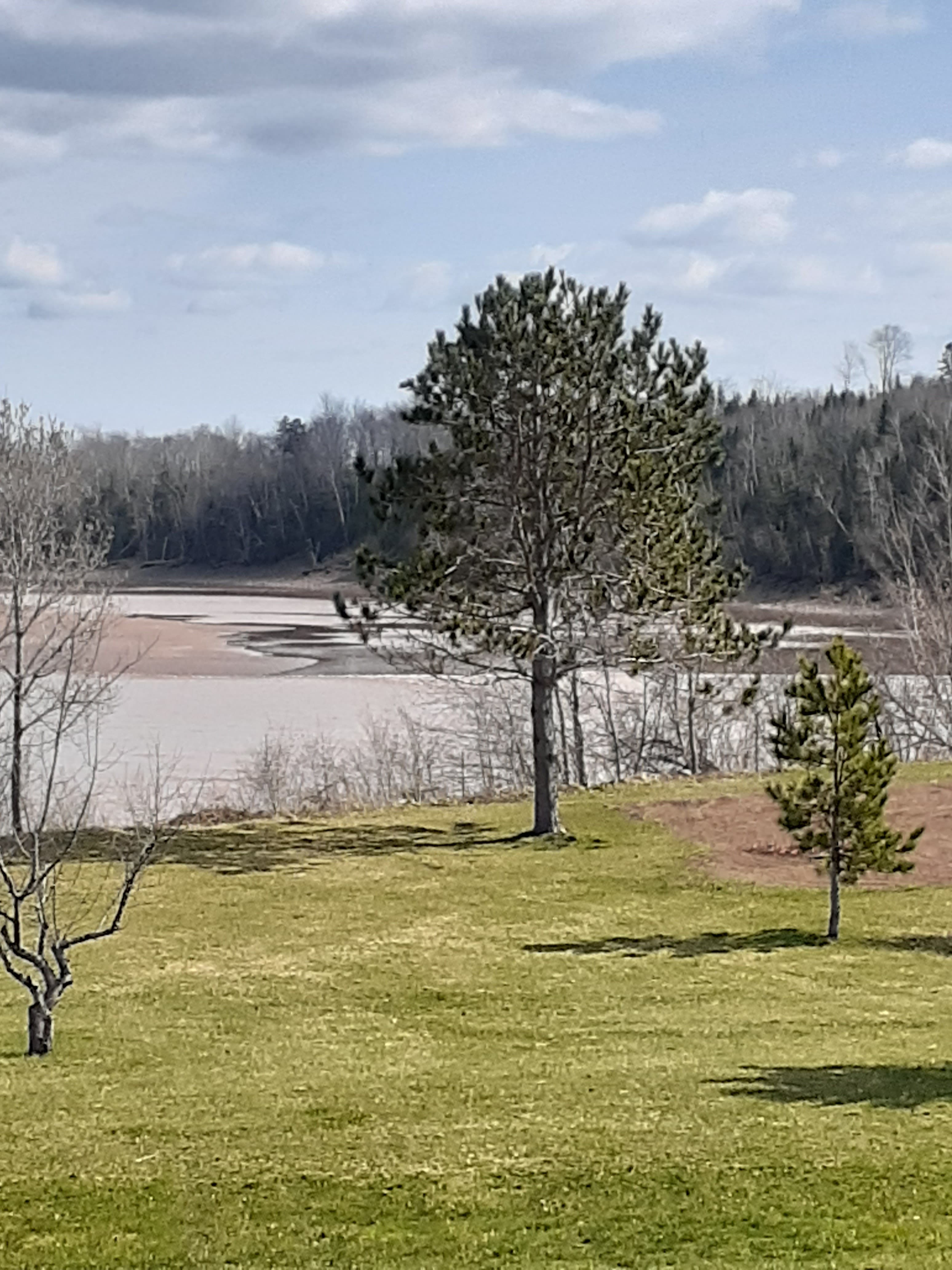 Rines Creek Park Golf - Image 10