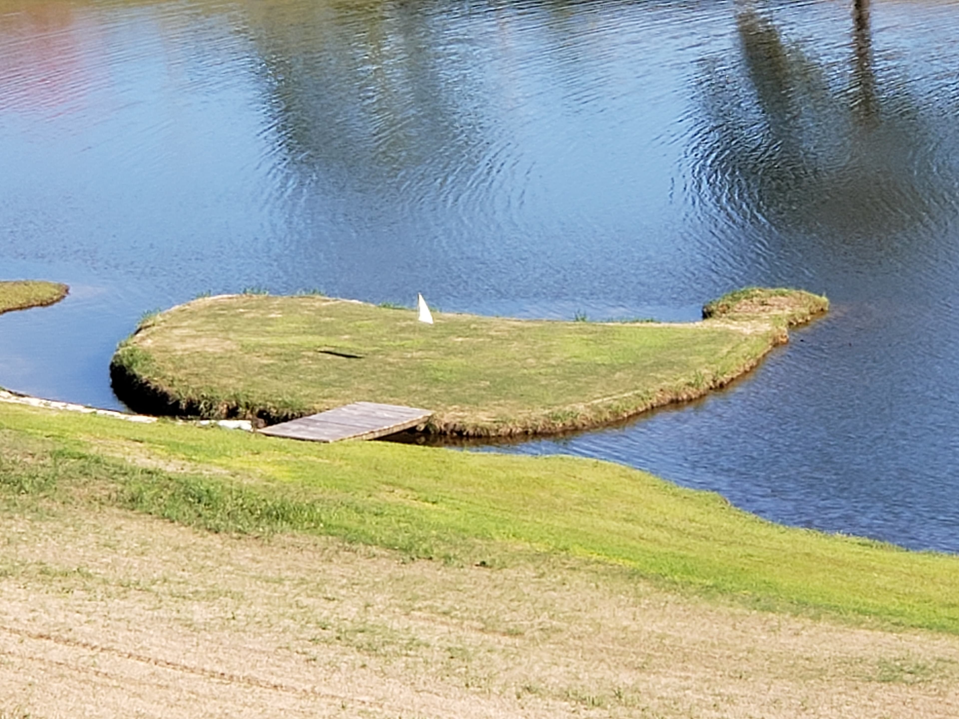 Island Green at Butter and Egg Adventures - Image 3