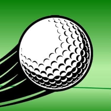 Players Indoor Golf | Indian Lake, Ohio - Image 3