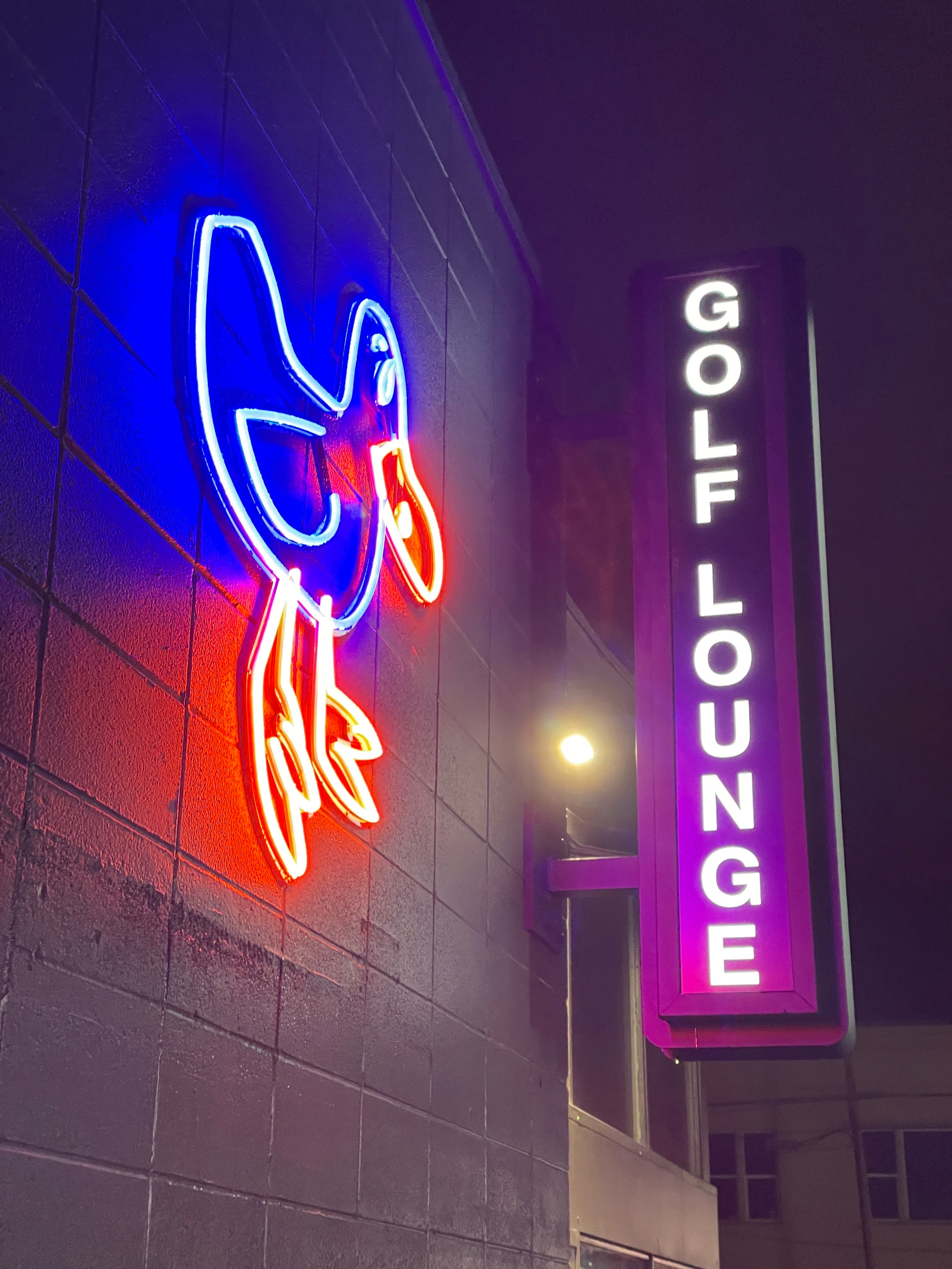 The Blue Duck - Image 10