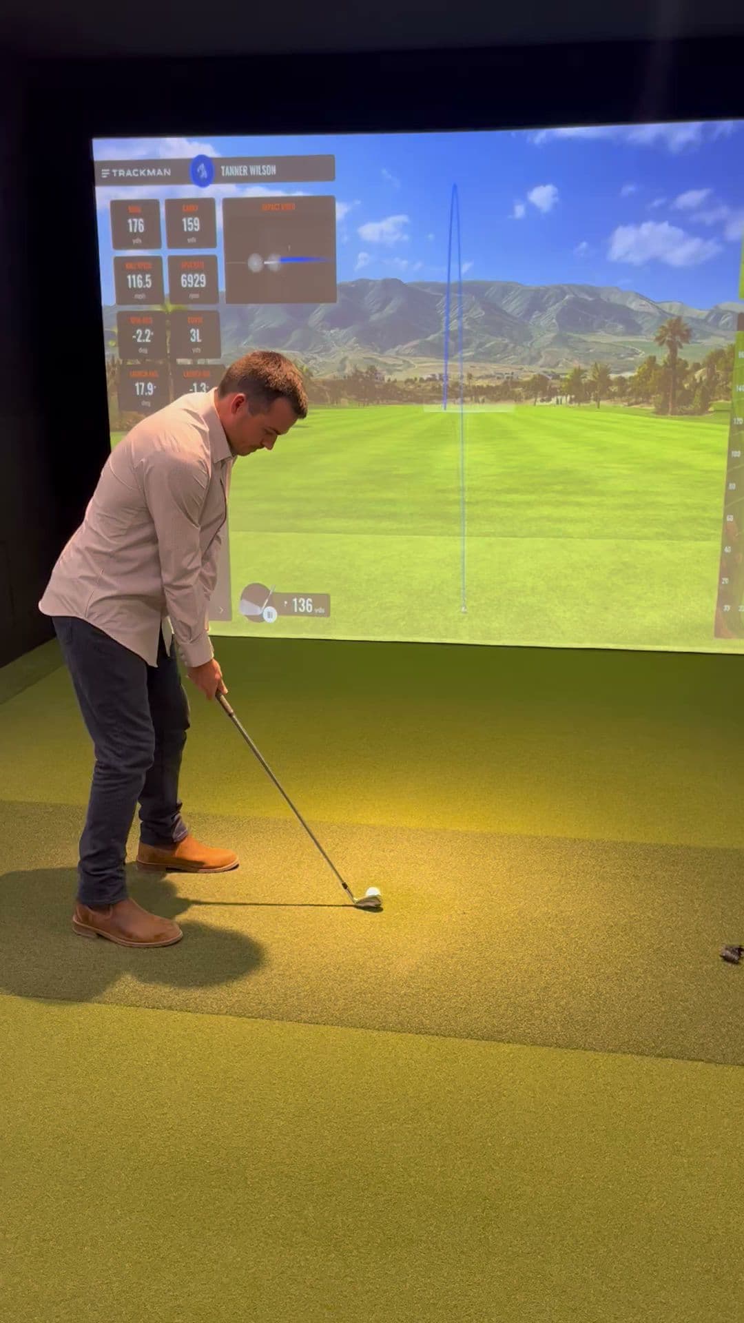 Albatross Golf Simulator - Image 2