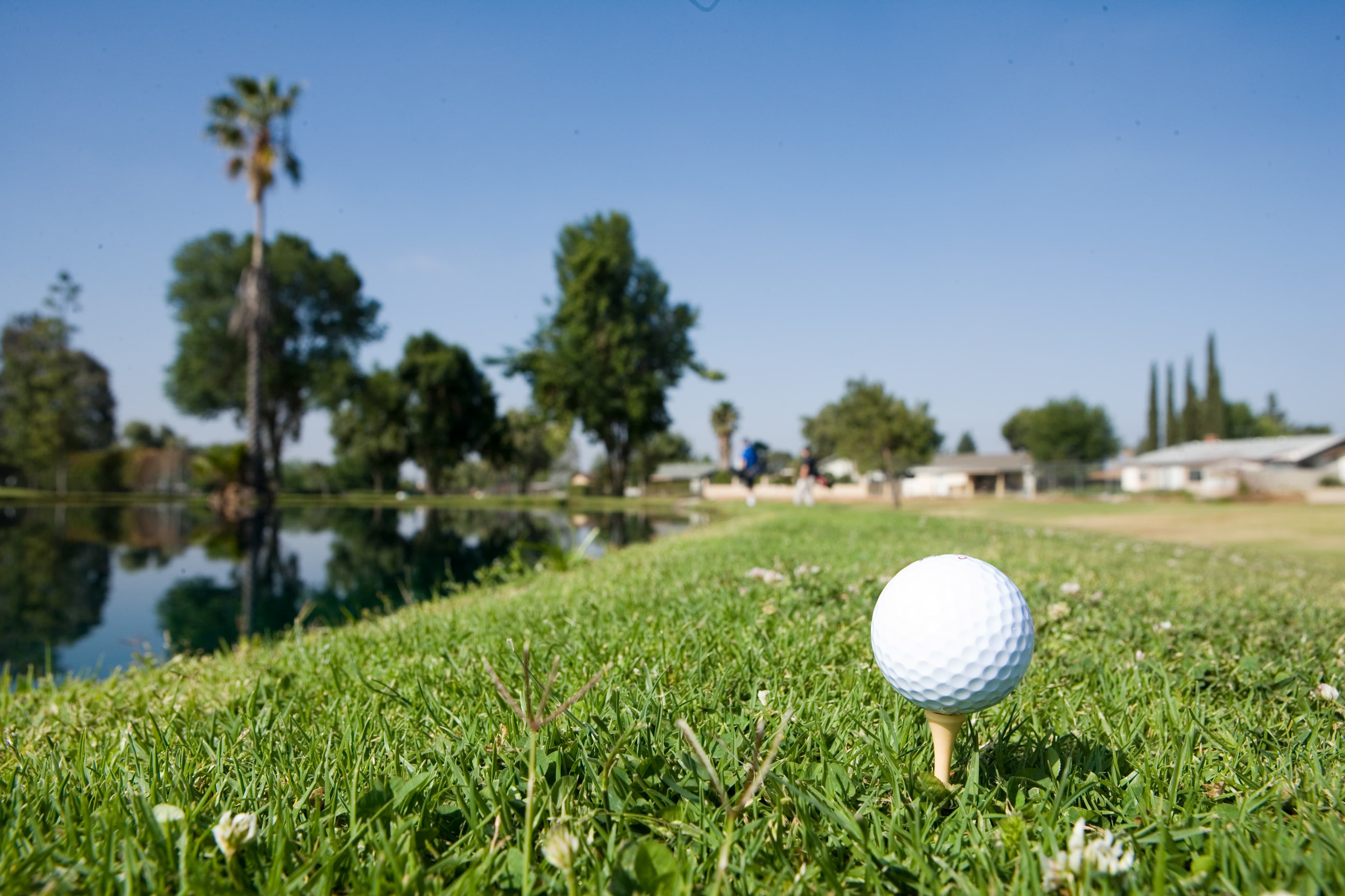 Cottonwood Golf Center - Image 6