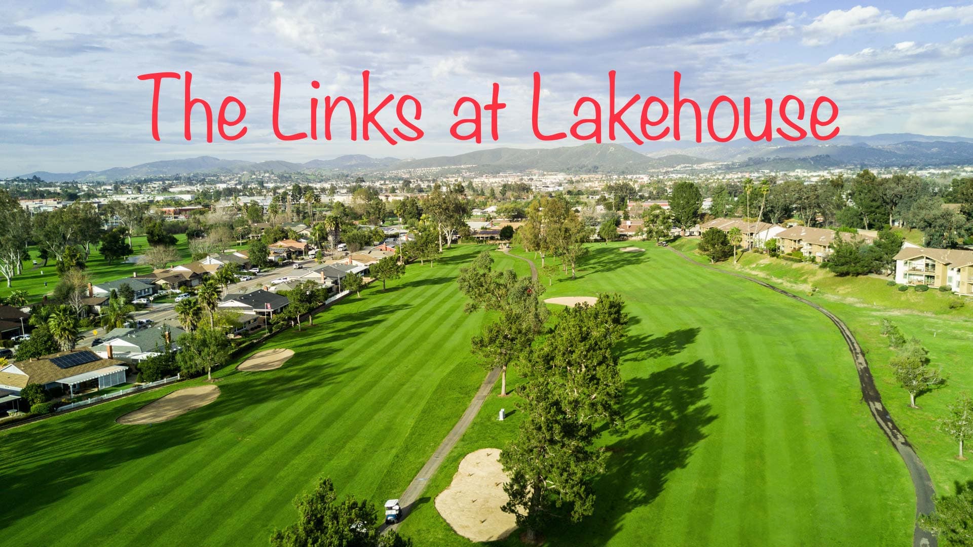 All Fore One Golf Club - Image 6