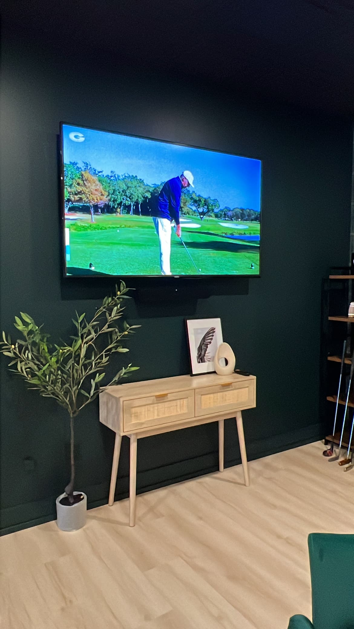 Modern Eagle - Image 4