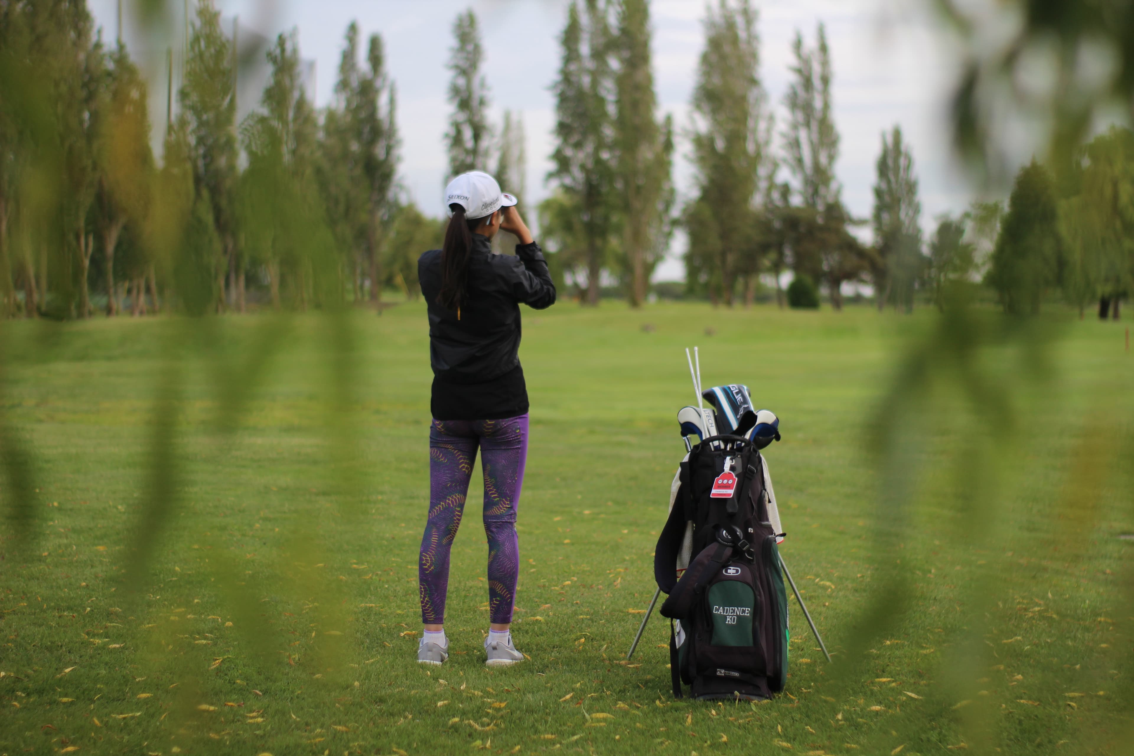 Golf Progress Hub - Image 2