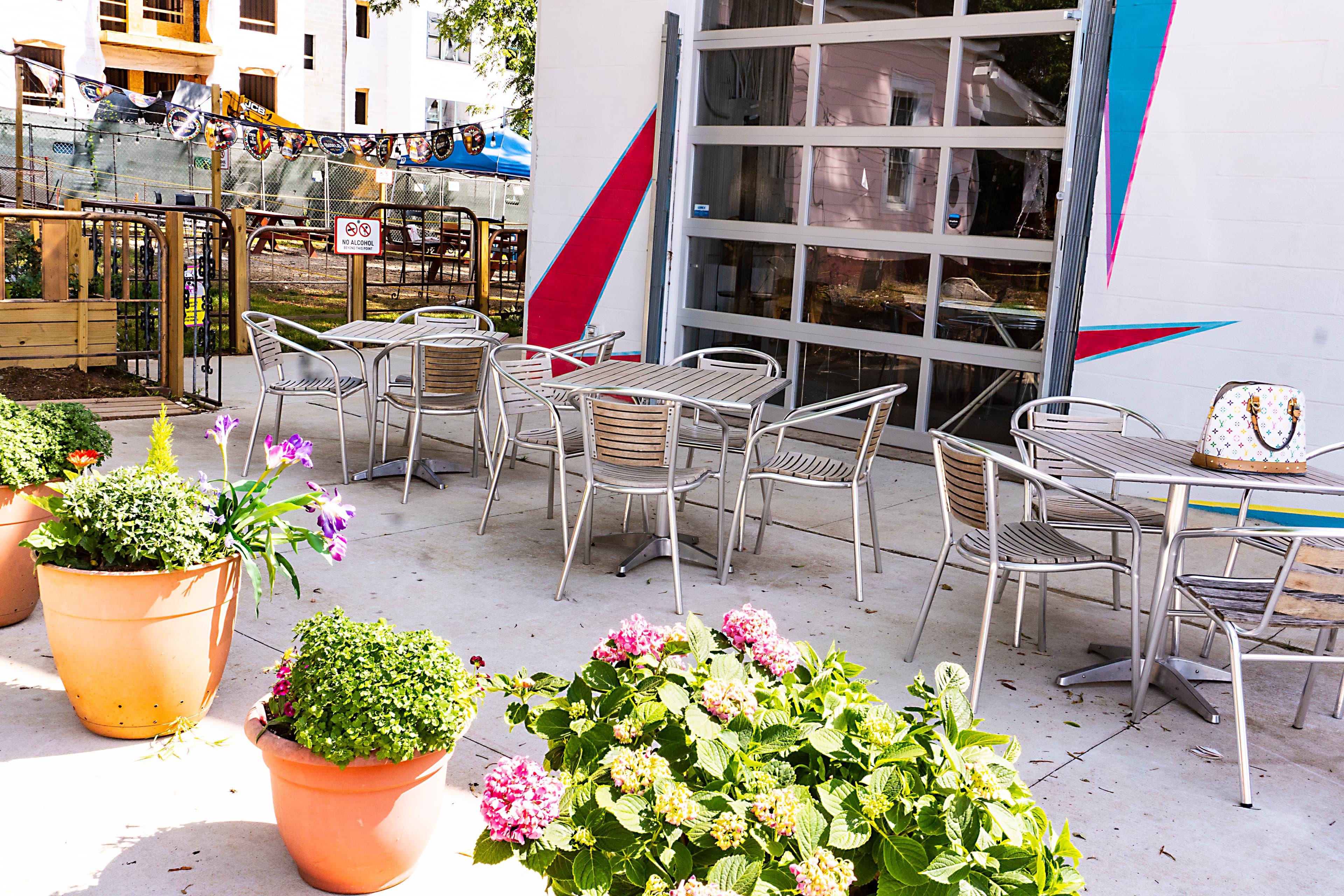 Starlight on 22nd - Image 9