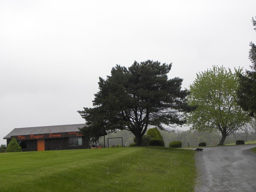 Perfect Swing - Image 5