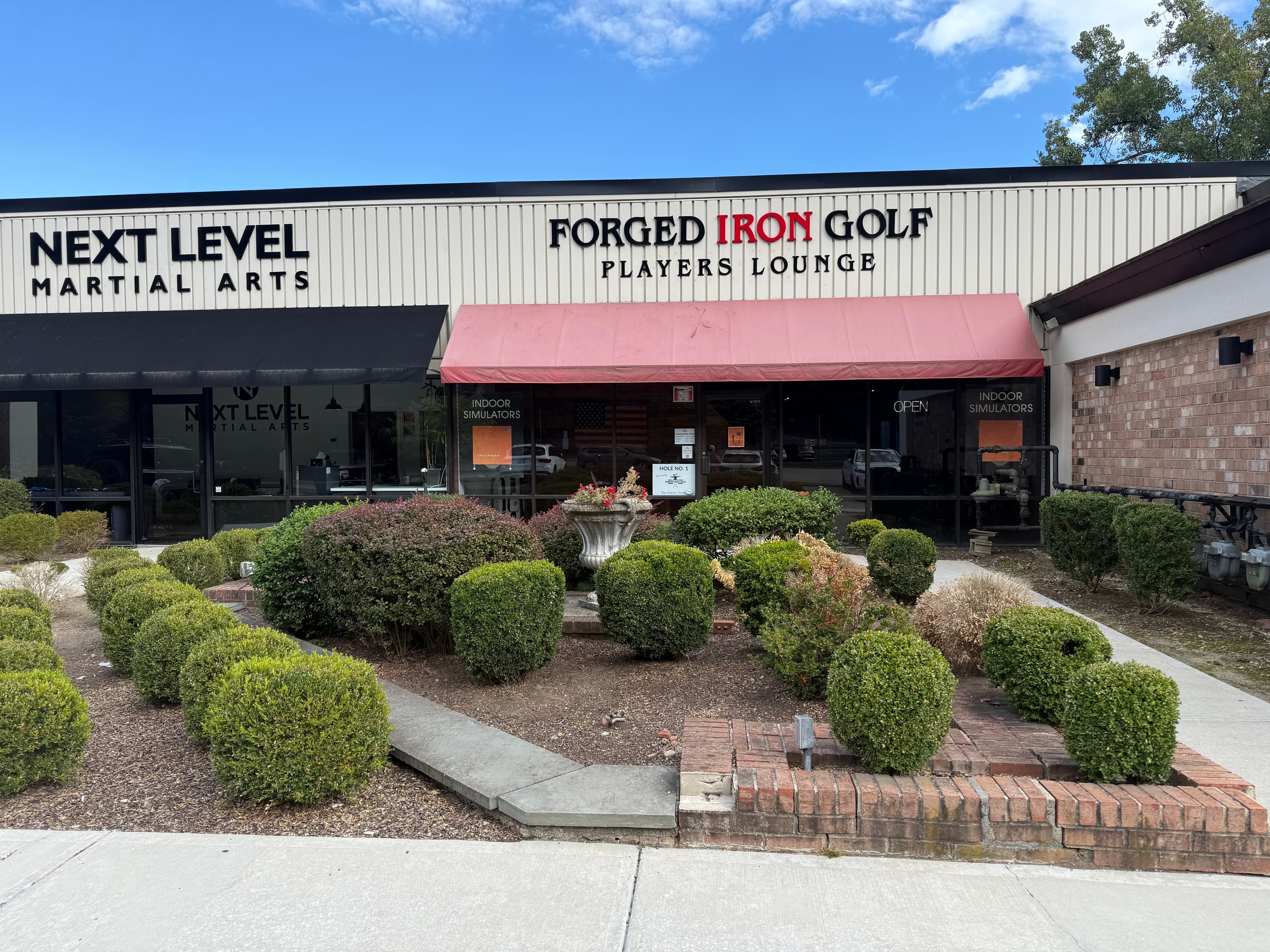 Forged Iron Golf