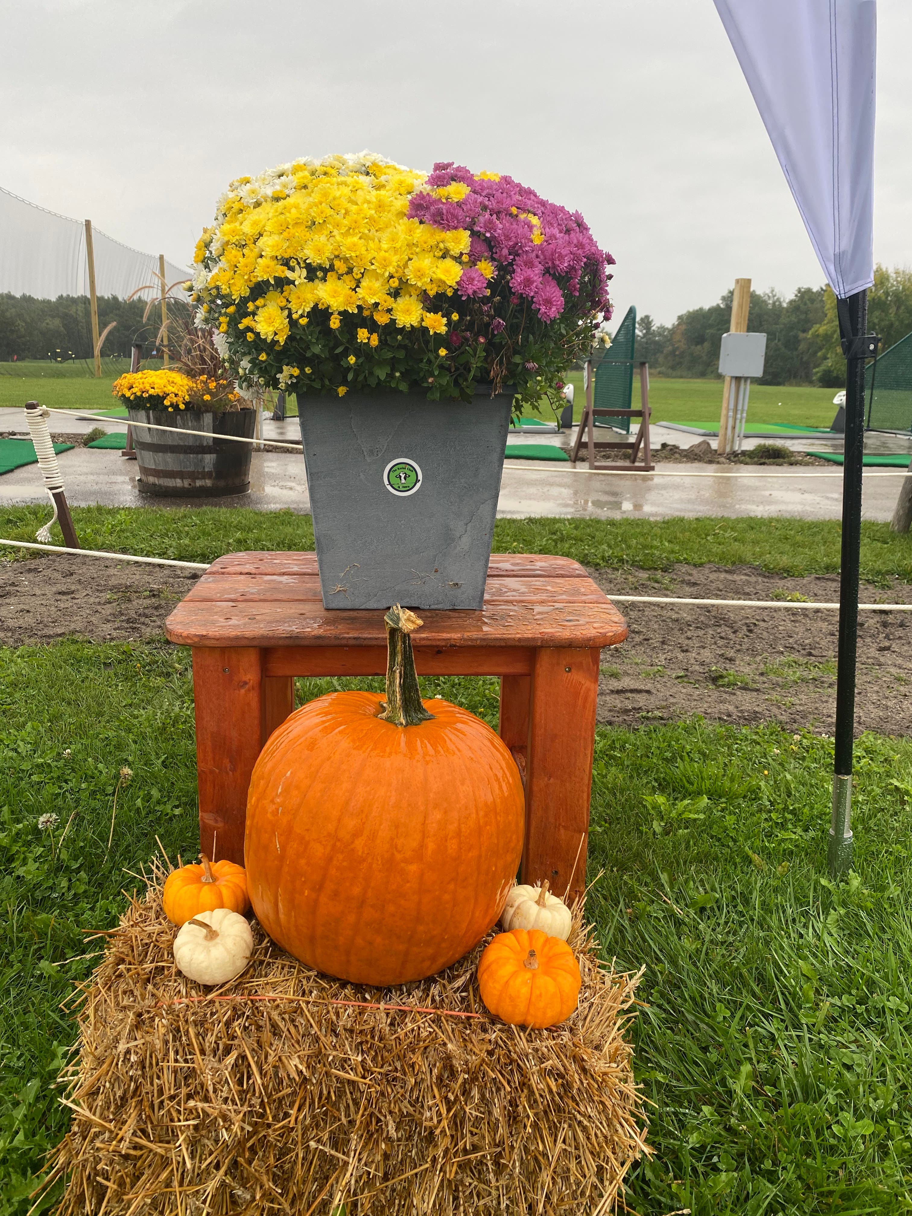 The Kwini Club Practice Facility - Image 7