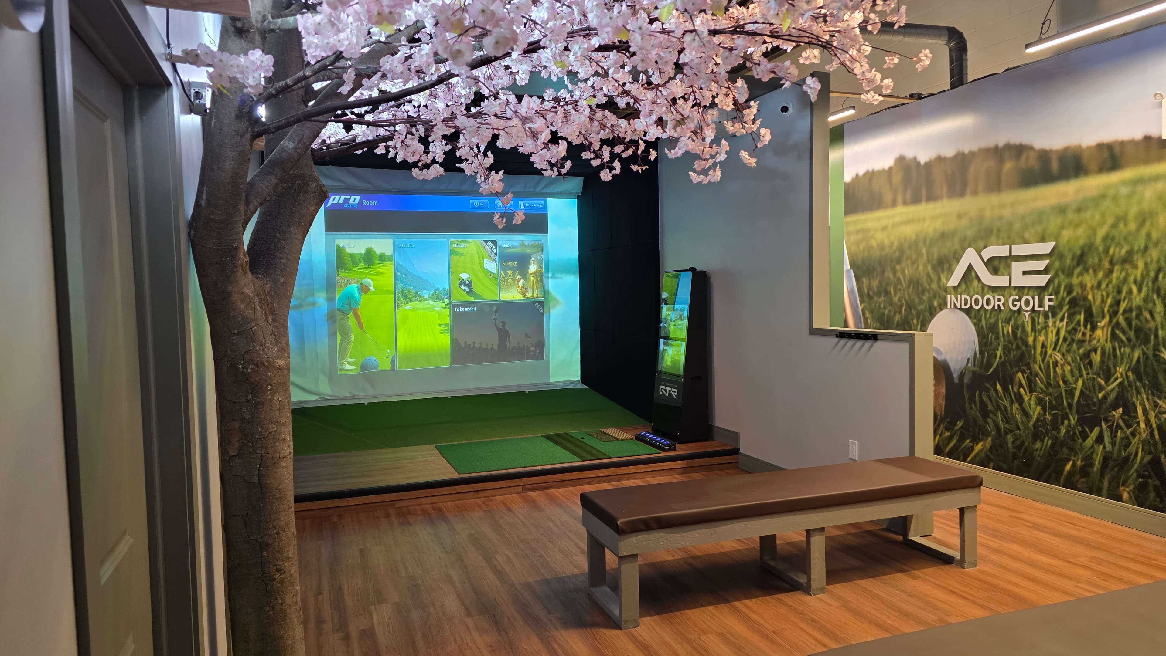 ACE INDOOR GOLF - TRENTON