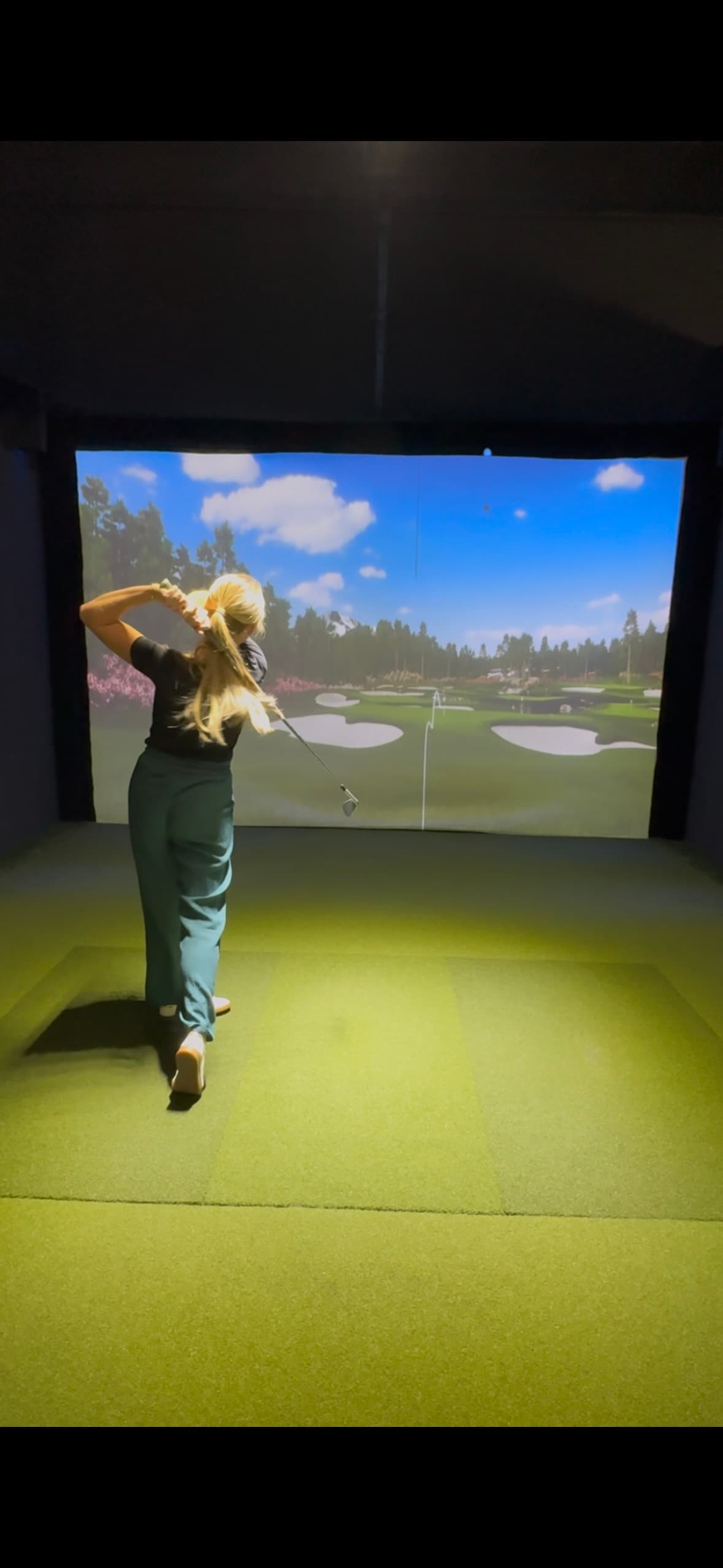 The Back Nine Golf | Novi, MI - Image 5