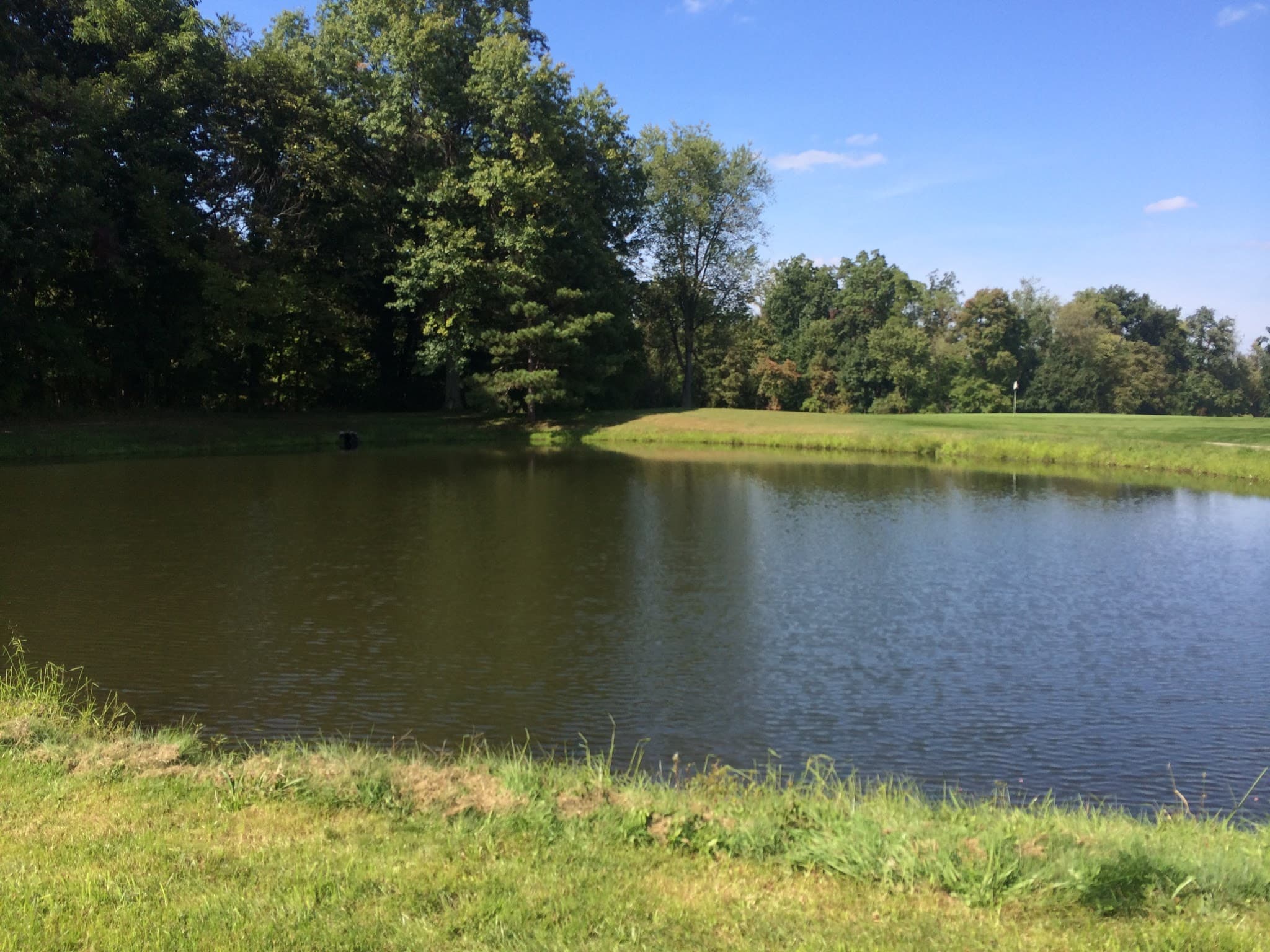 Tanglewood Public Golf Course & Driving Range - Image 6