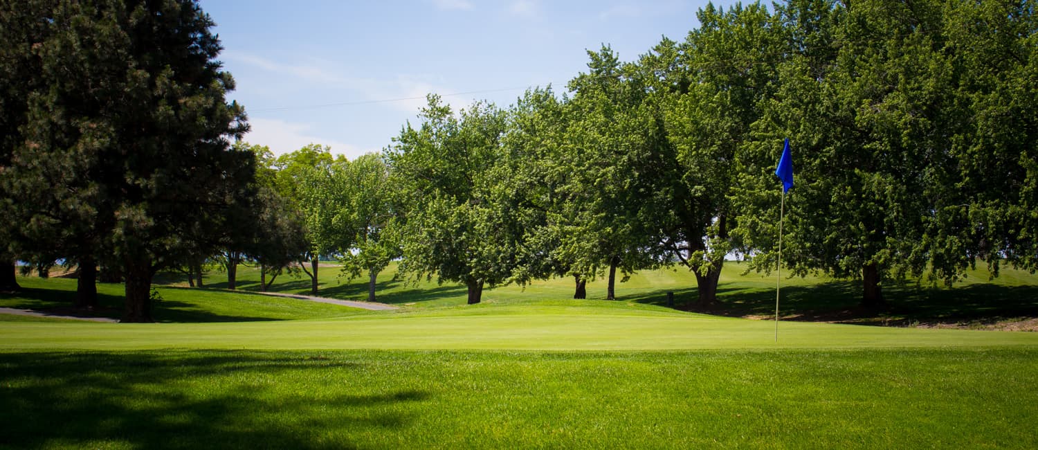 Veterans Memorial Golf Course - Image 2