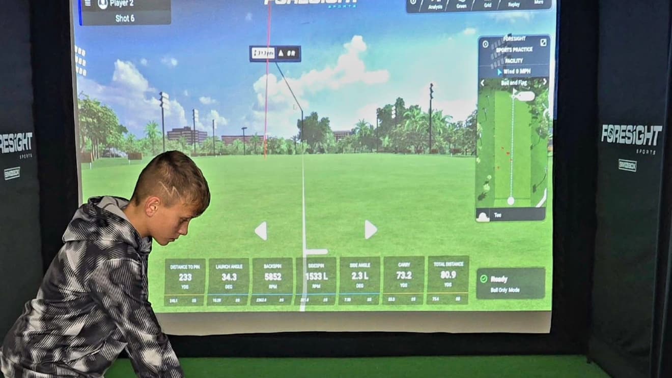 FO Golf Simulator - Image 2