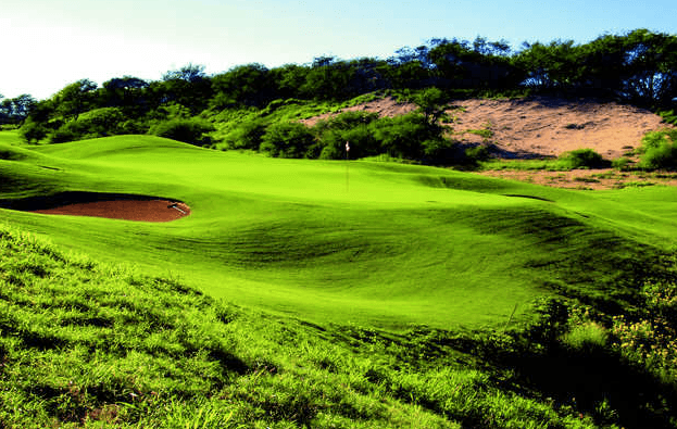 Hawaii Golf Schools - Image 3