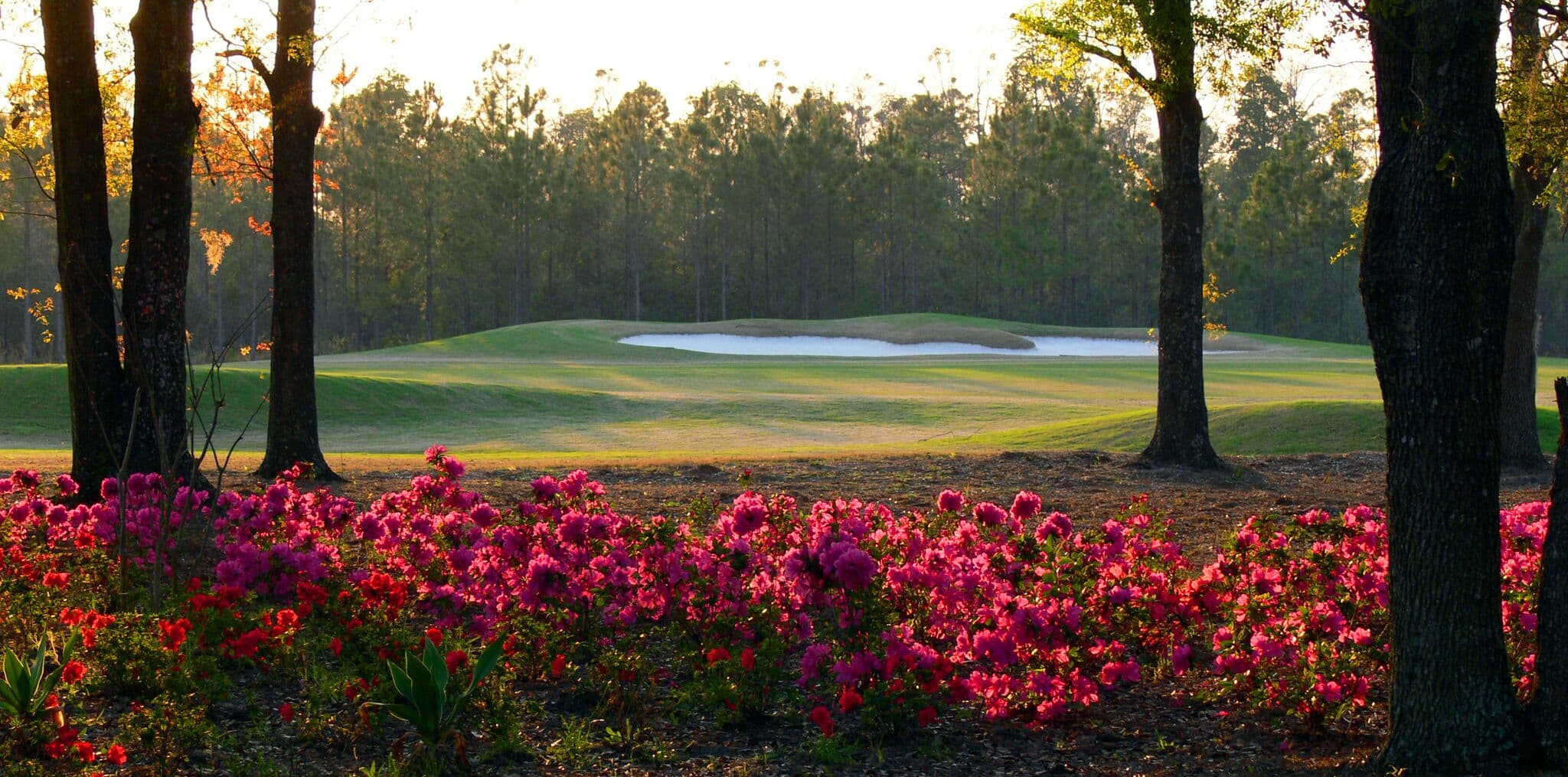 Eagle Landing Golf Club - Image 1