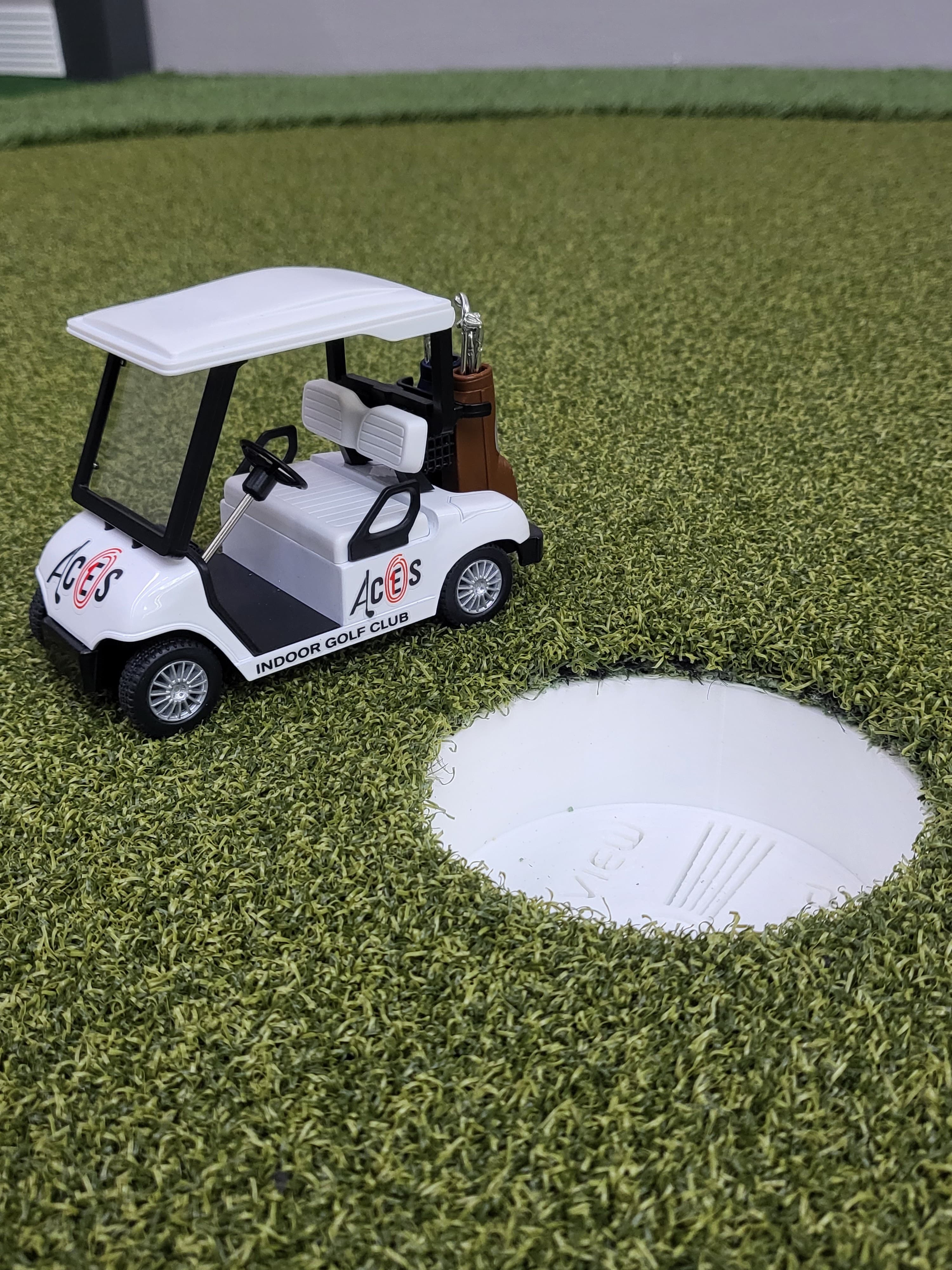 Aces Indoor Golf Club - Image 5