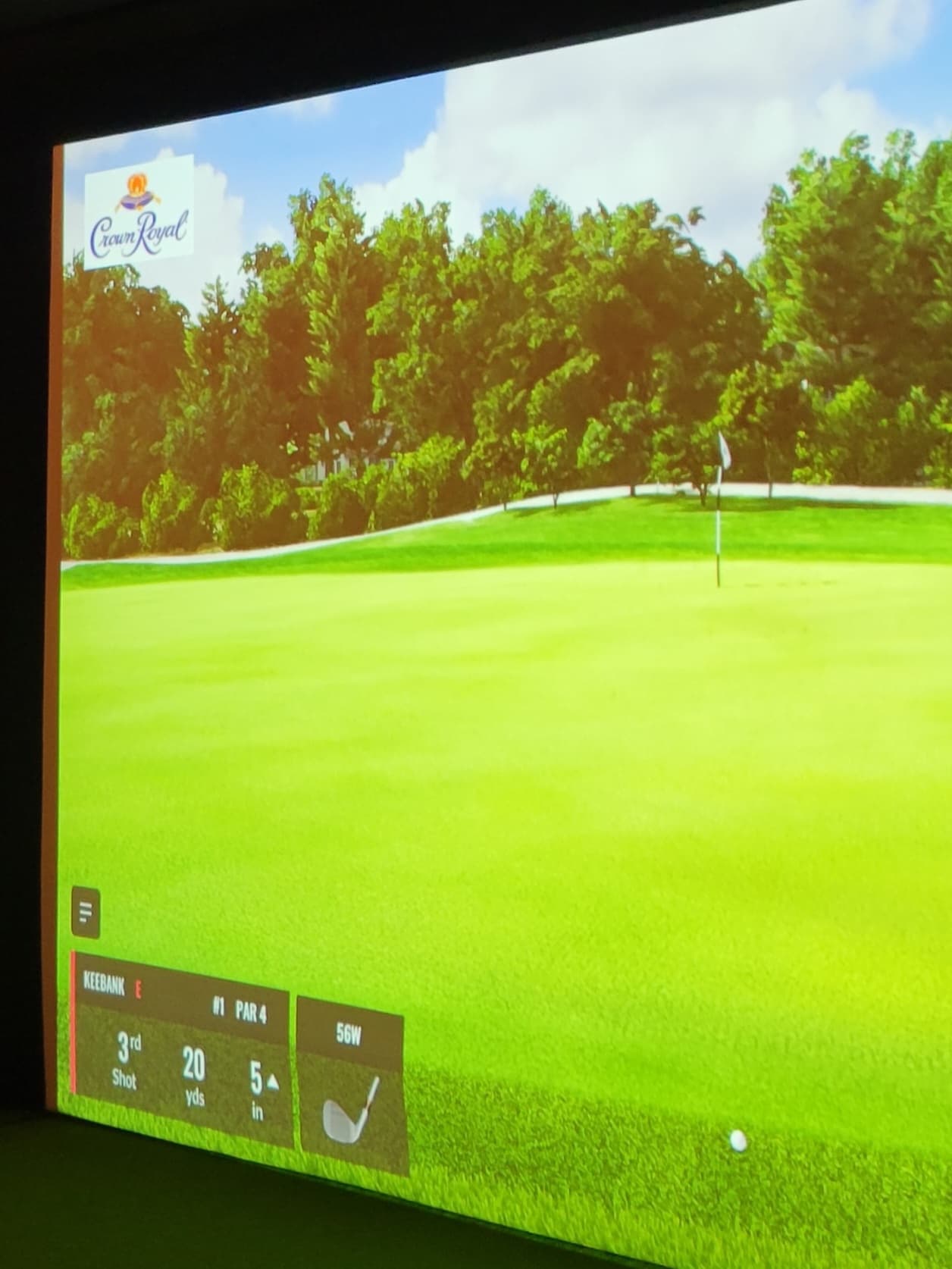 2FOGS's Golf - Image 6