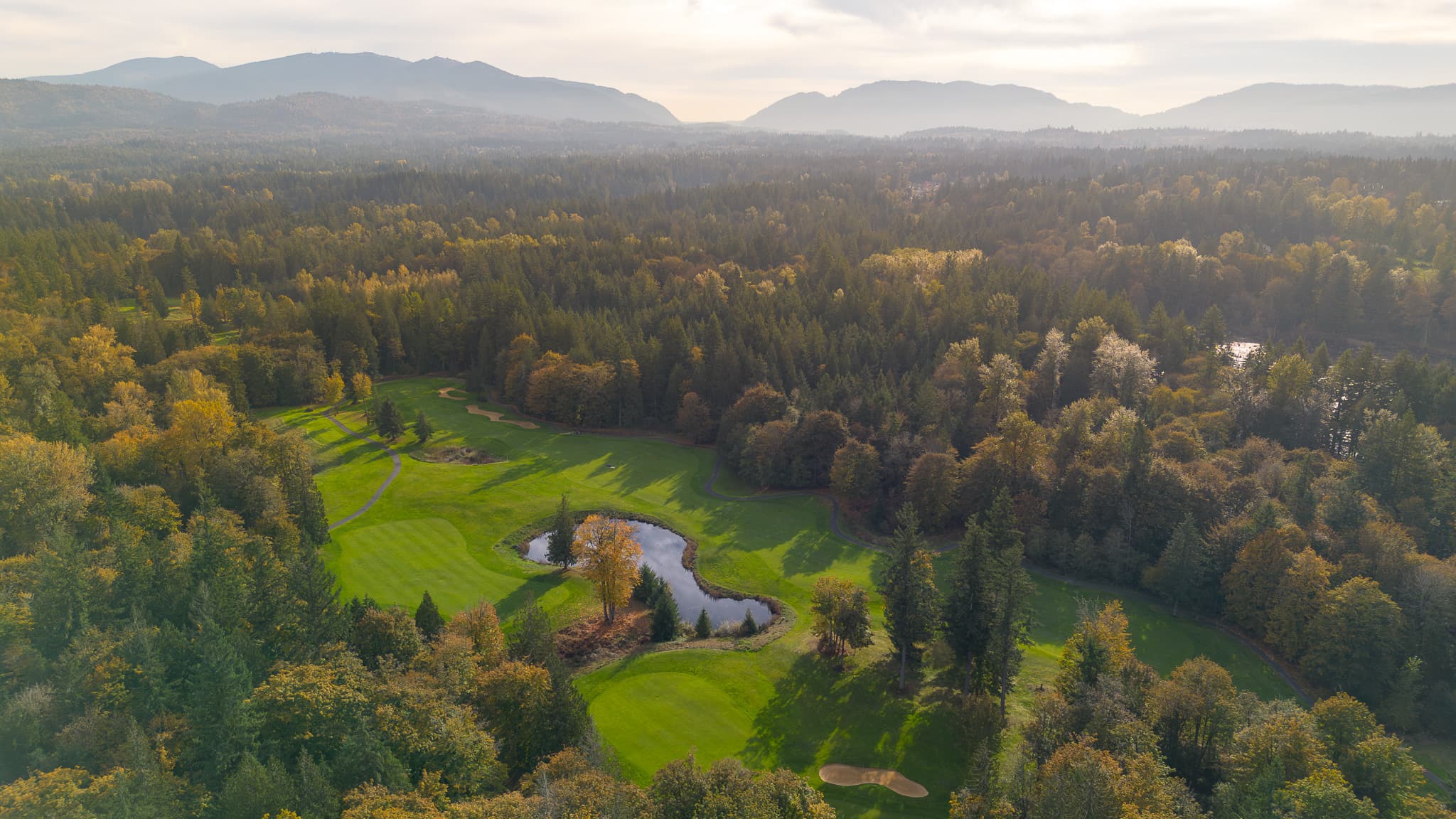 The Plateau Club - Image 8