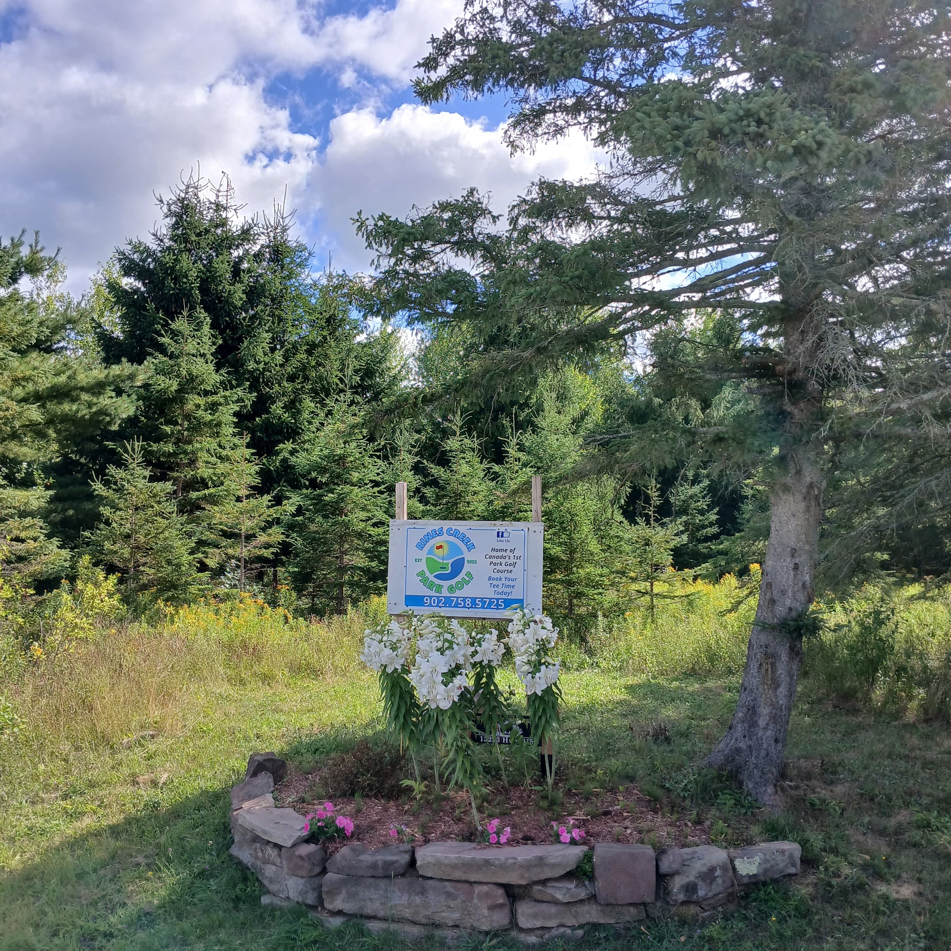 Rines Creek Park Golf - Image 4