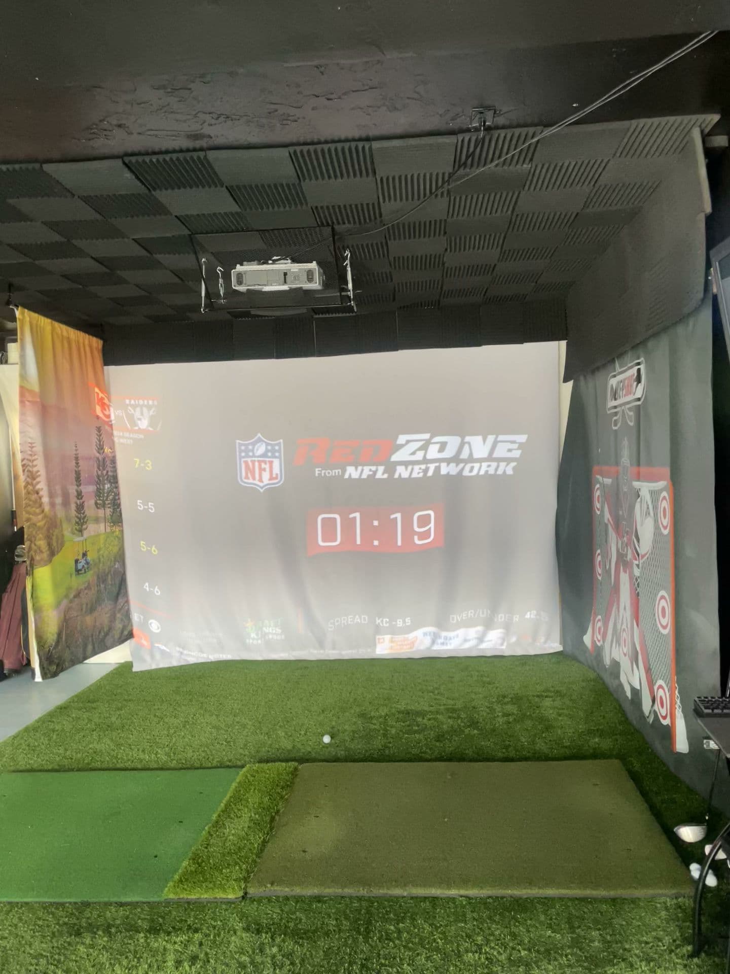 The Sport Sim - Image 8